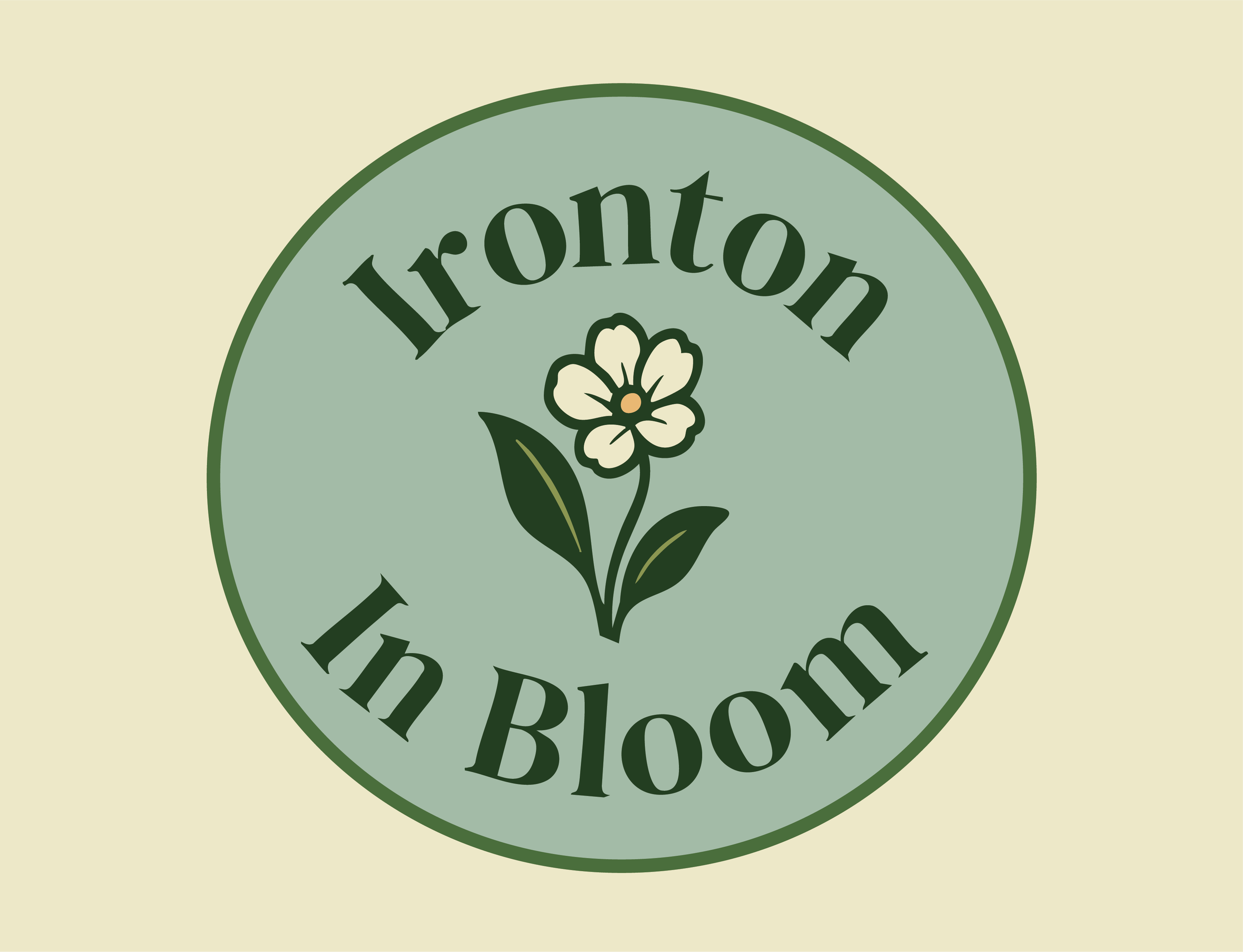 IIBWebsite2.png