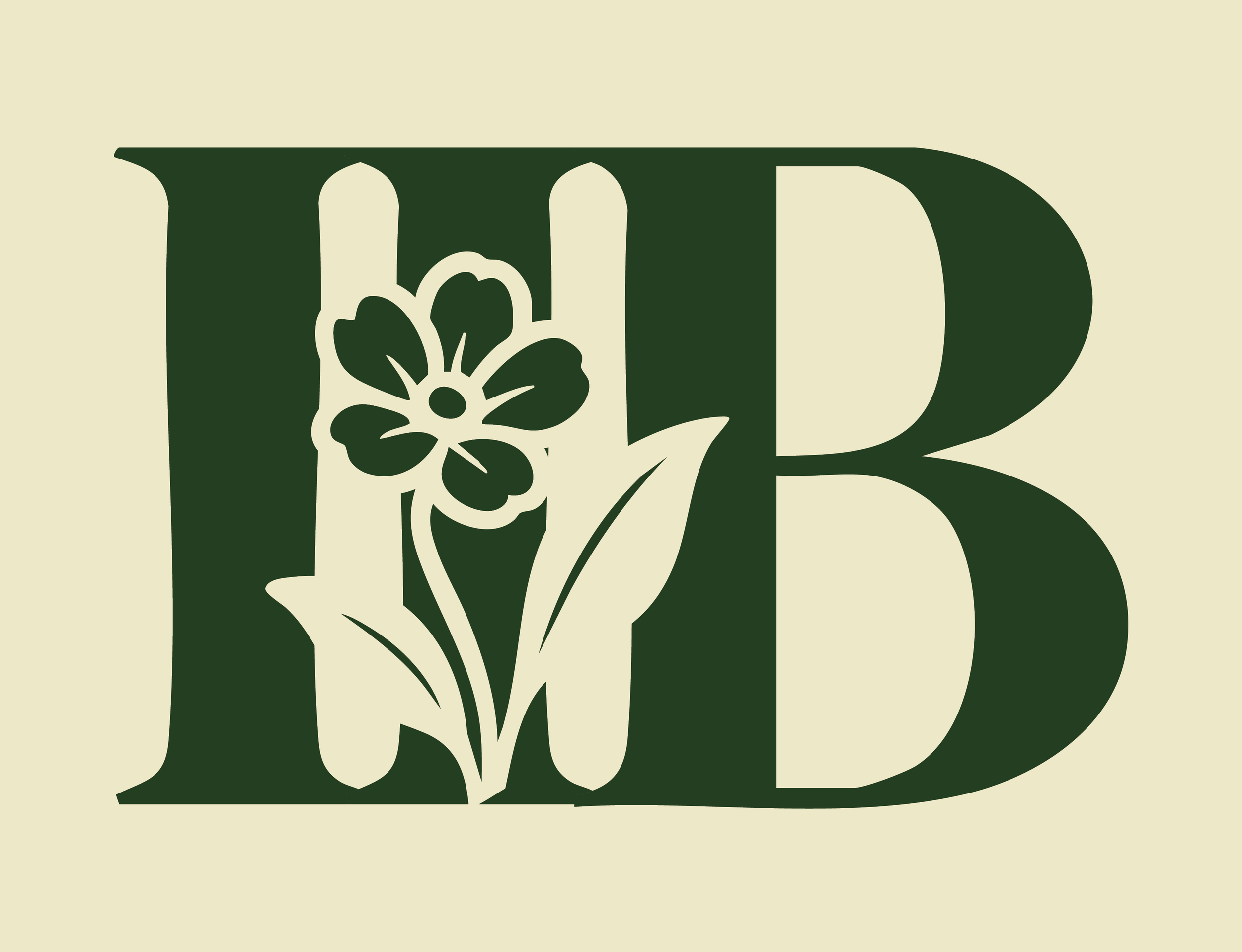 IIBWebsite3.png