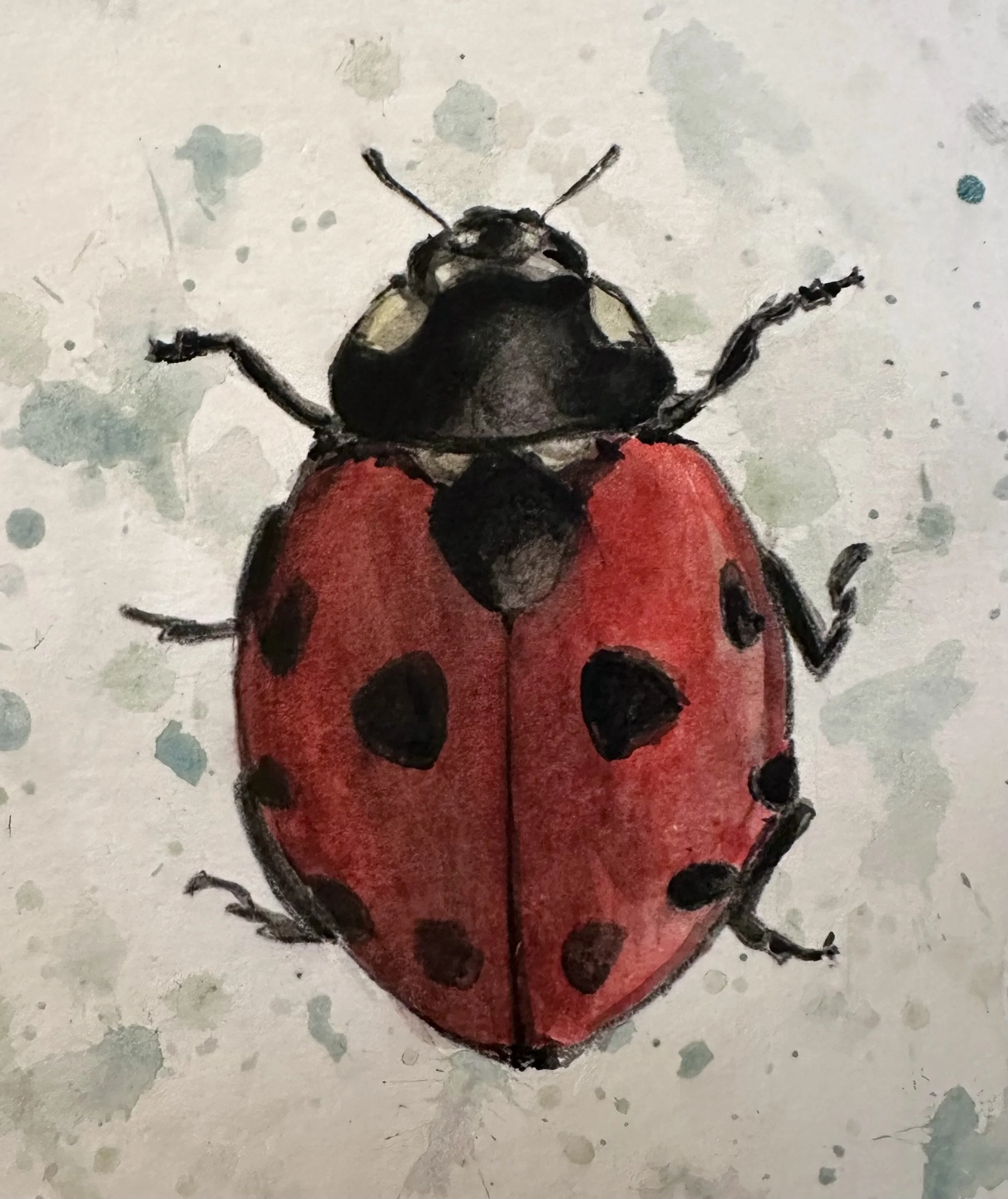 A colorful watercolor painting of a ladybug with a red body and black spots, black head, and legs on a light, textured background.