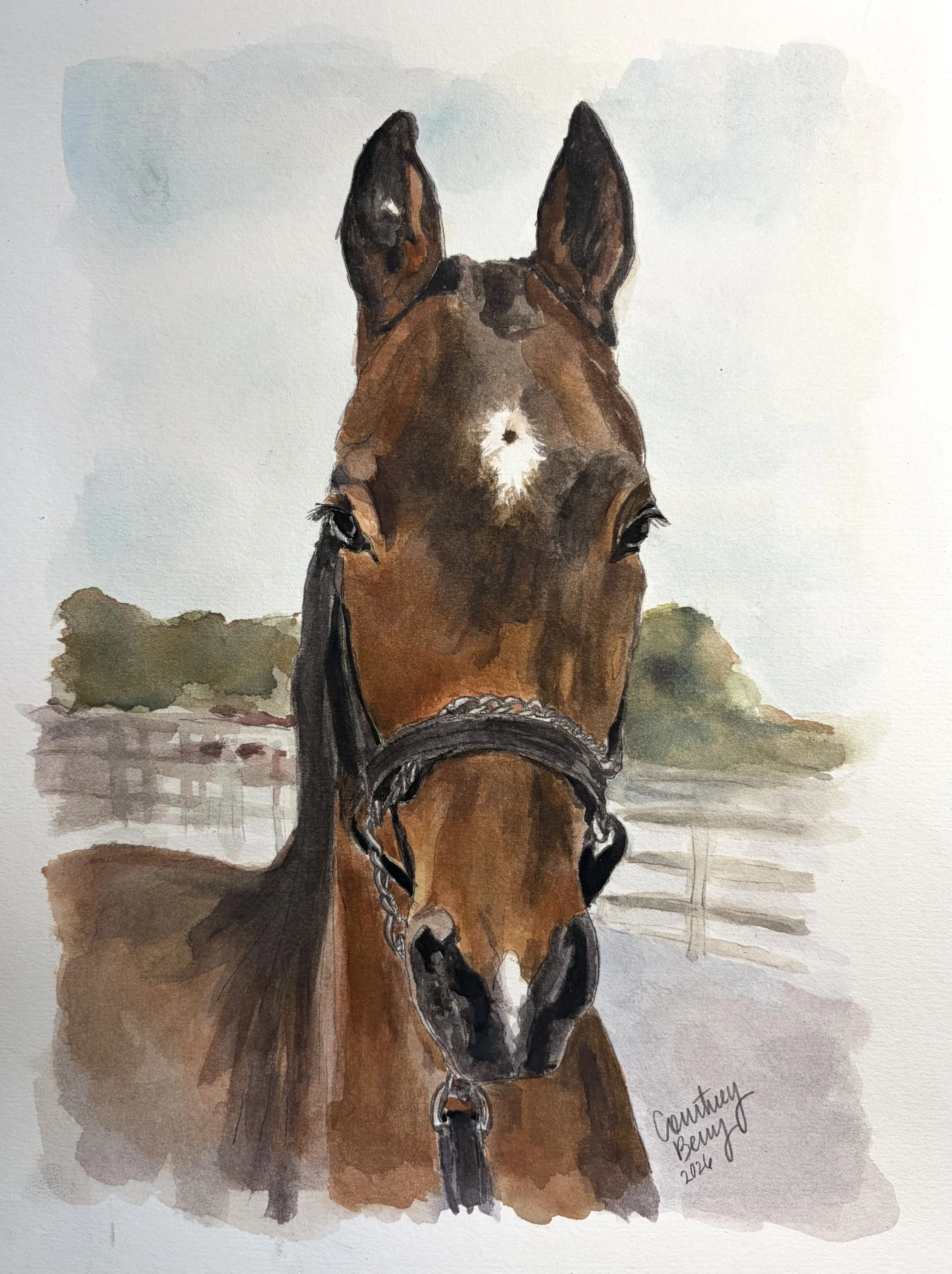 Axl - Pet Commission Horse