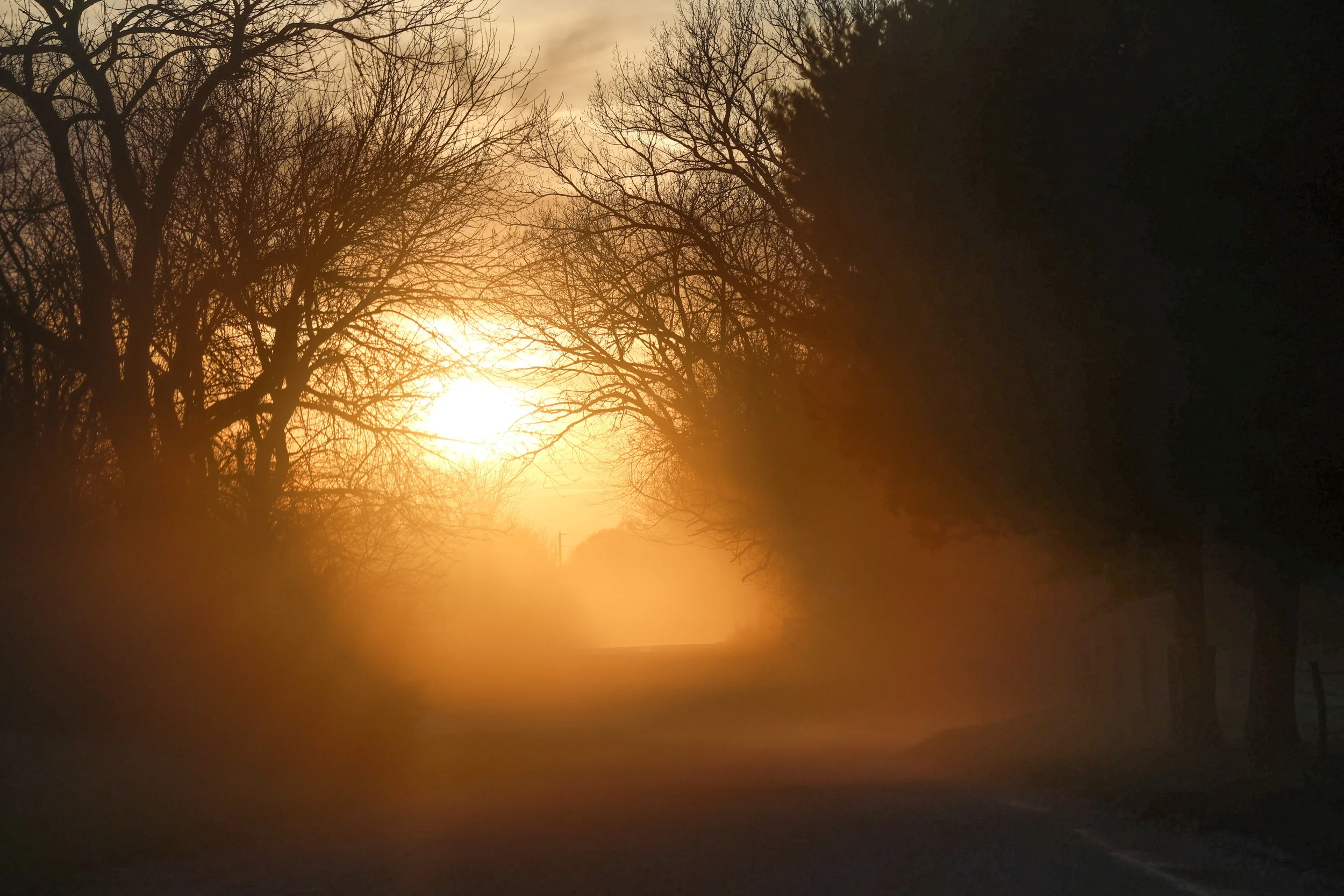 On this gravel road, the dust held the last light of day.