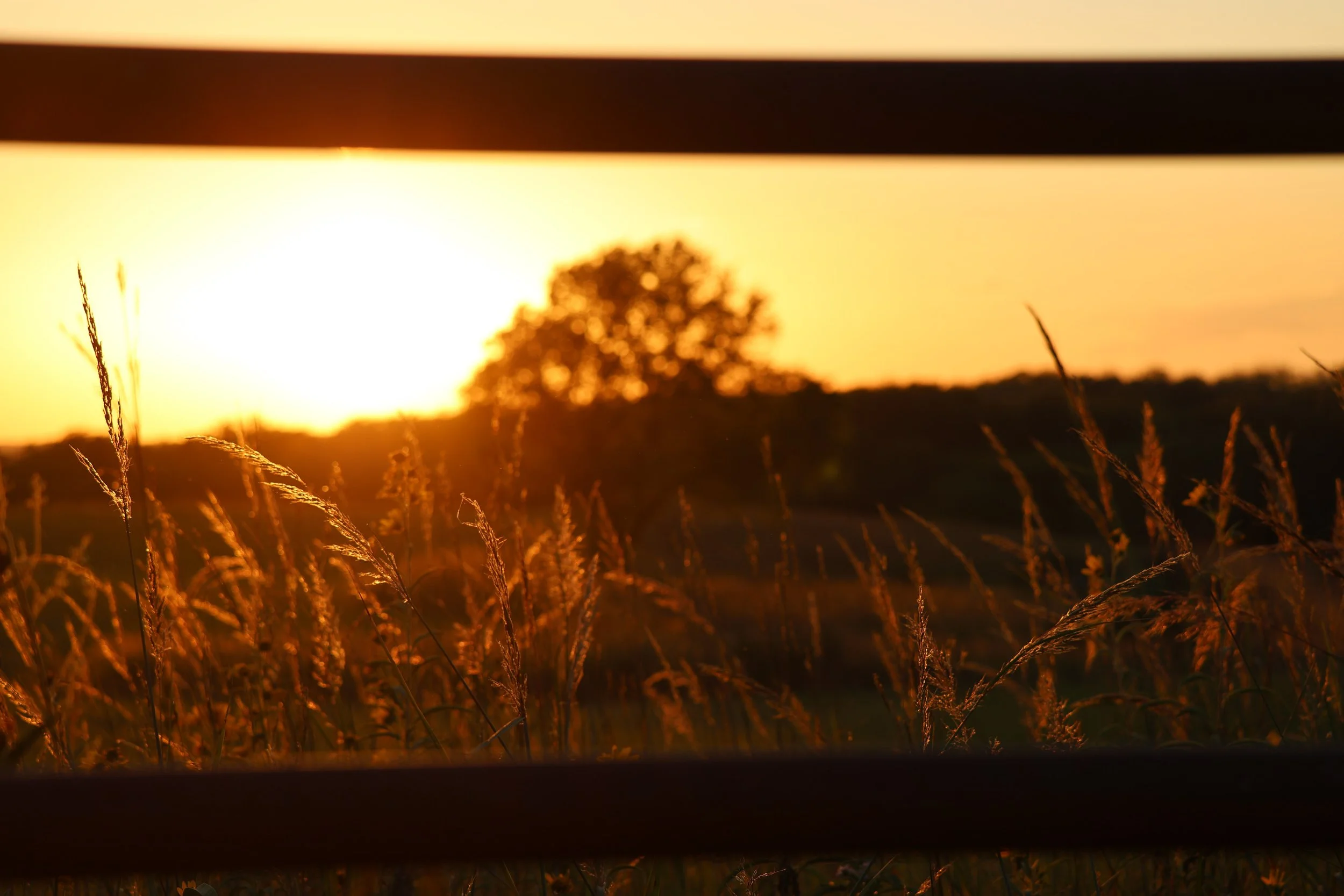 Sun on my face, wind blowing my braids—nothing is better than a Kansas sunset.