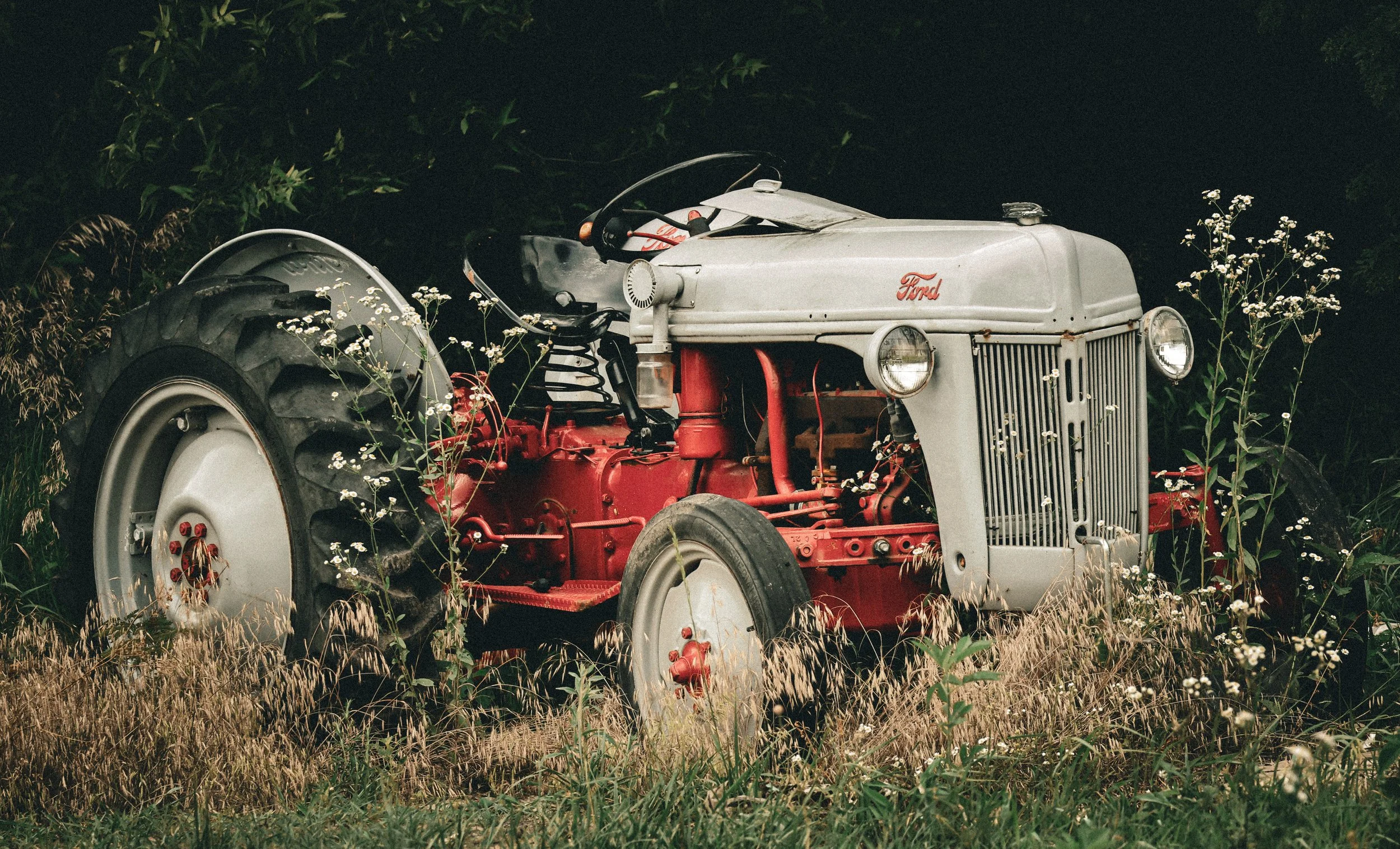 Weathered and still, this old Ford tractor feels like a hardworking piece of the countryside’s story.