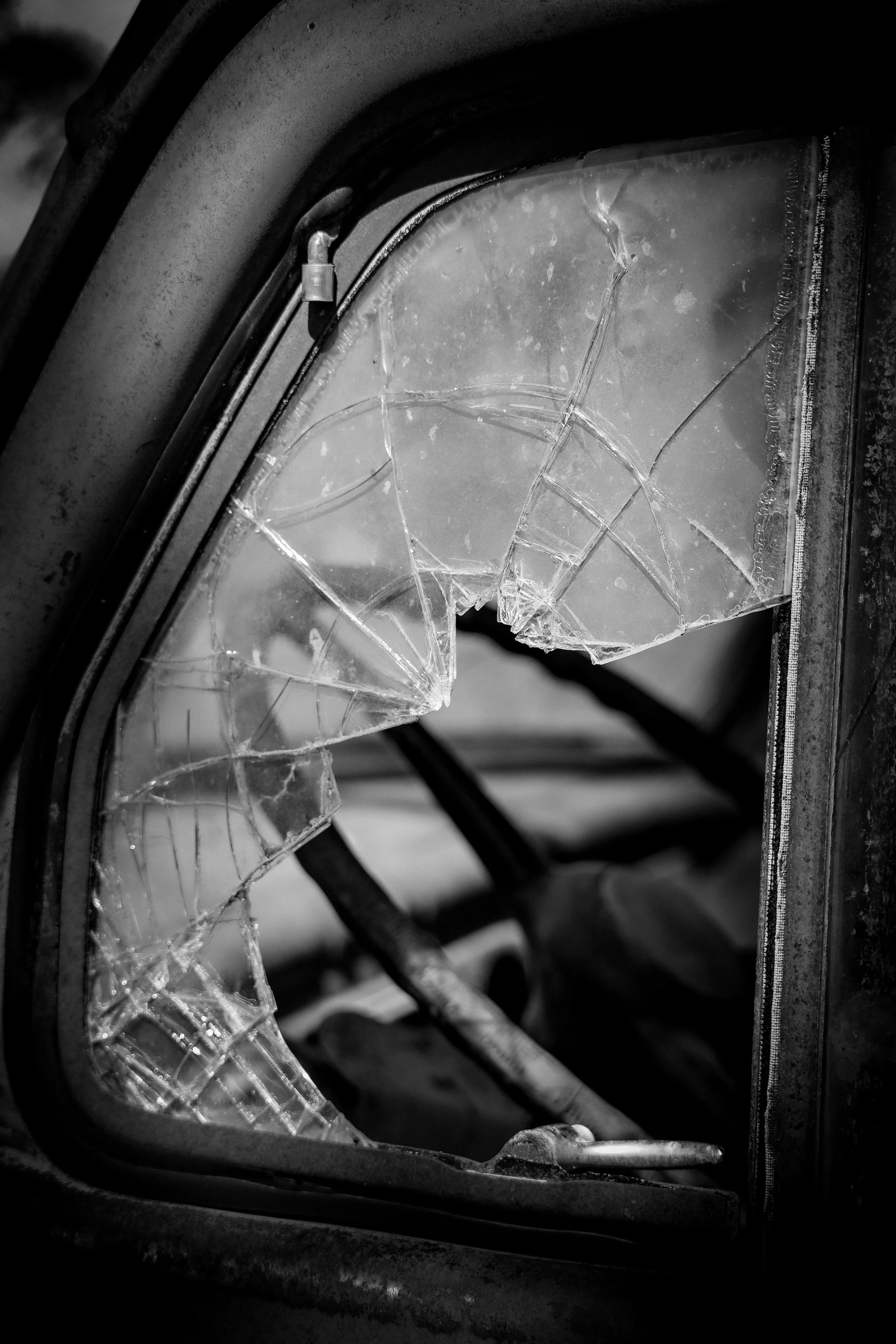 Through shattered glass and stillness, this old truck holds the worn and quiet story of years gone by.