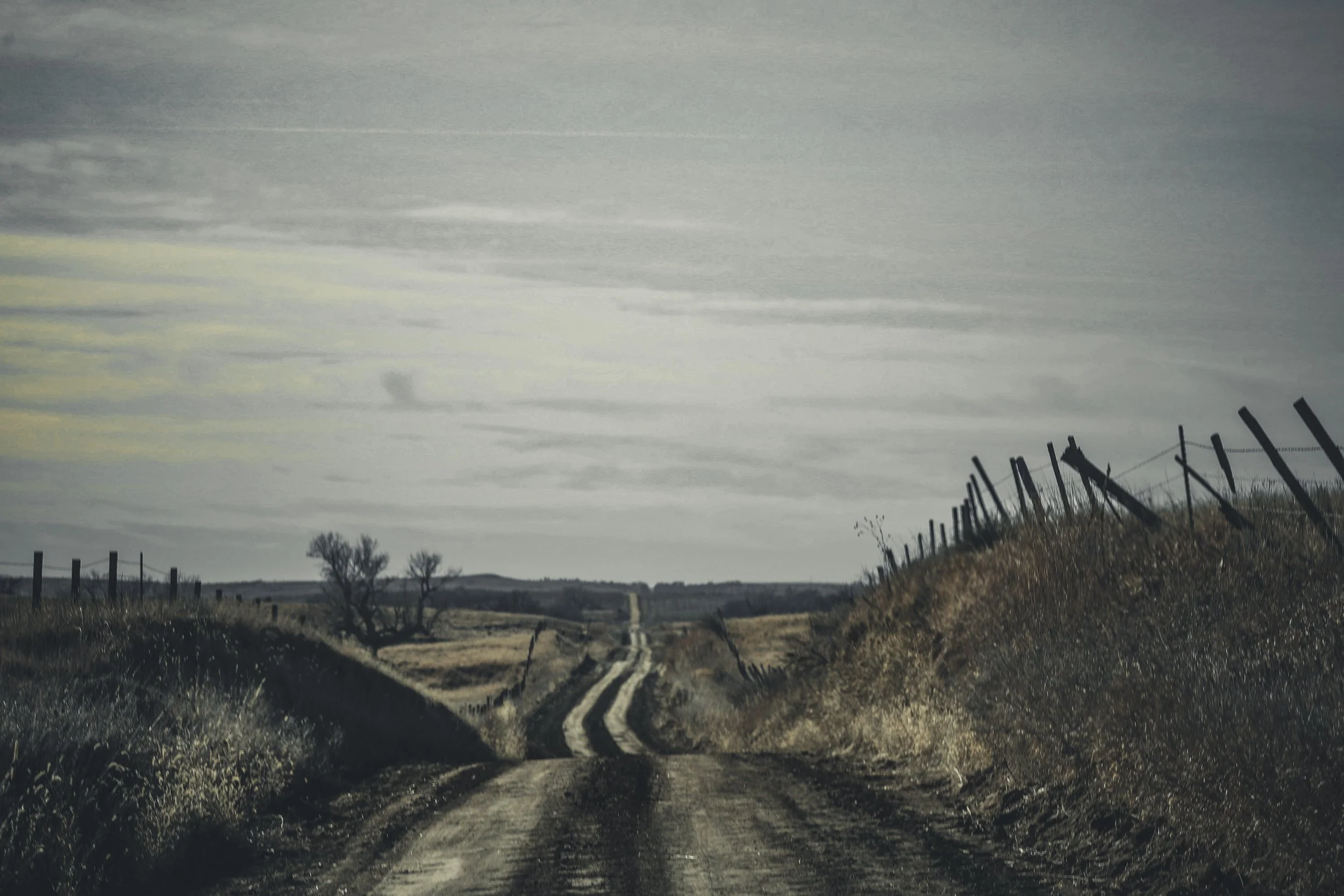 This long dirt road carries the kind of silence only the prairie knows.