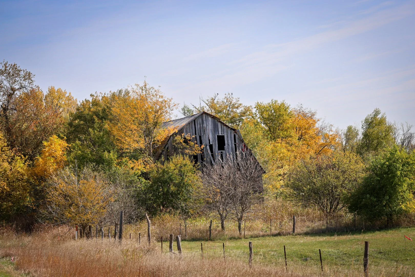 Wrapped in the warm palette of autumn, this old barn carries the quiet, timeworn beauty of the rural landscape.