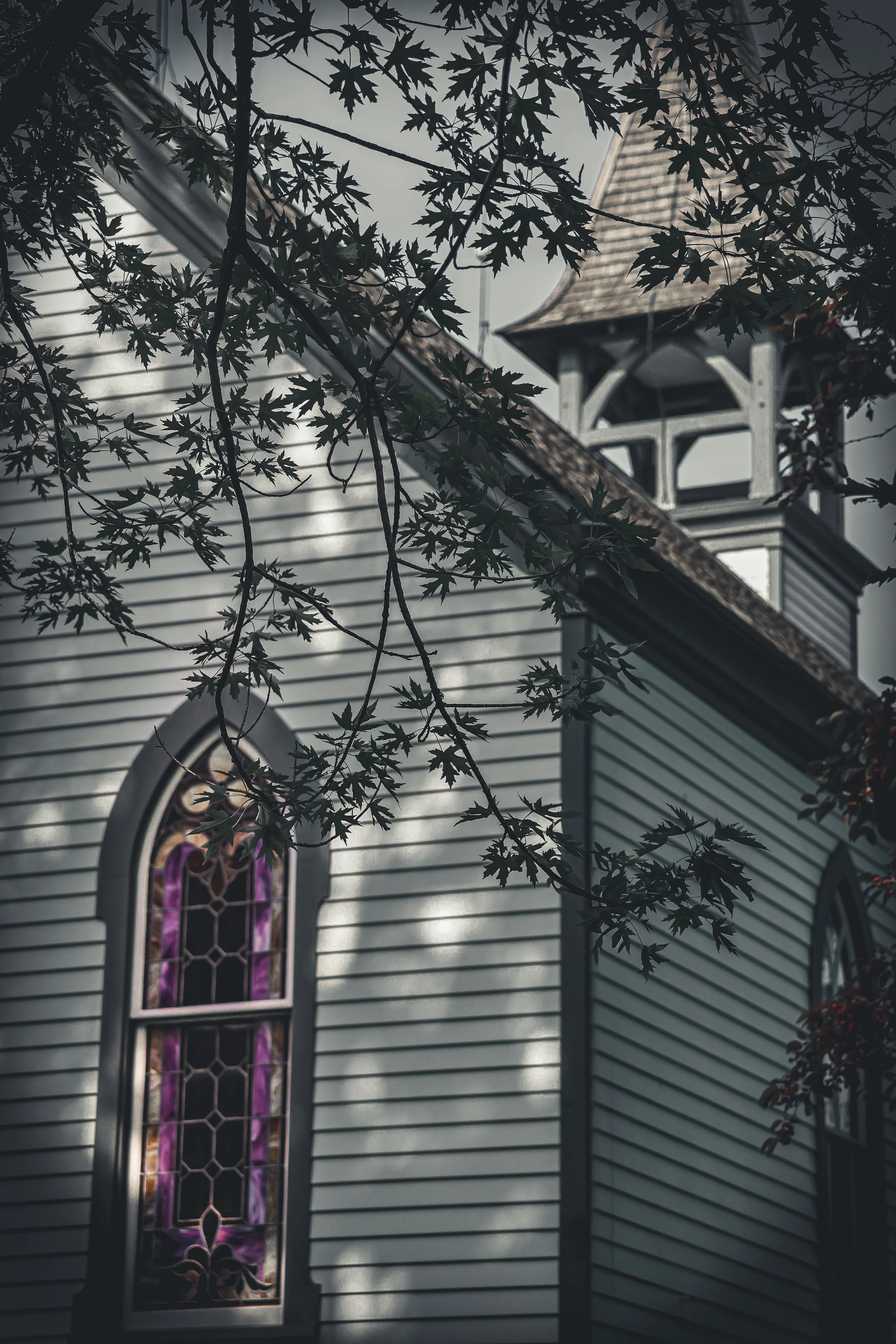 Framed by branches and shadow, the stained glass glows like a quiet prayer held inside the walls.