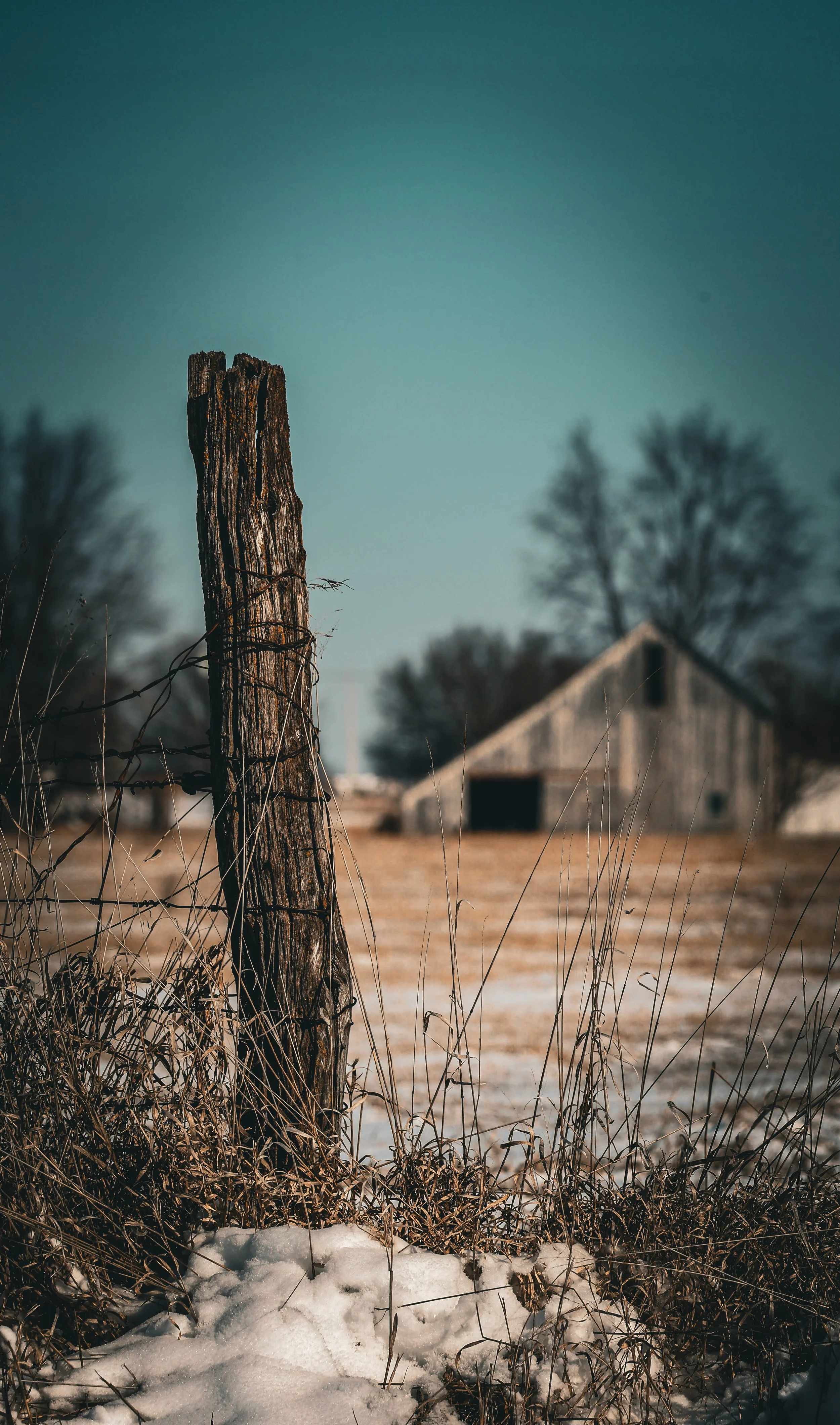 Beyond the winter field, this old barn lingers in quiet stillness, softened by time and season.