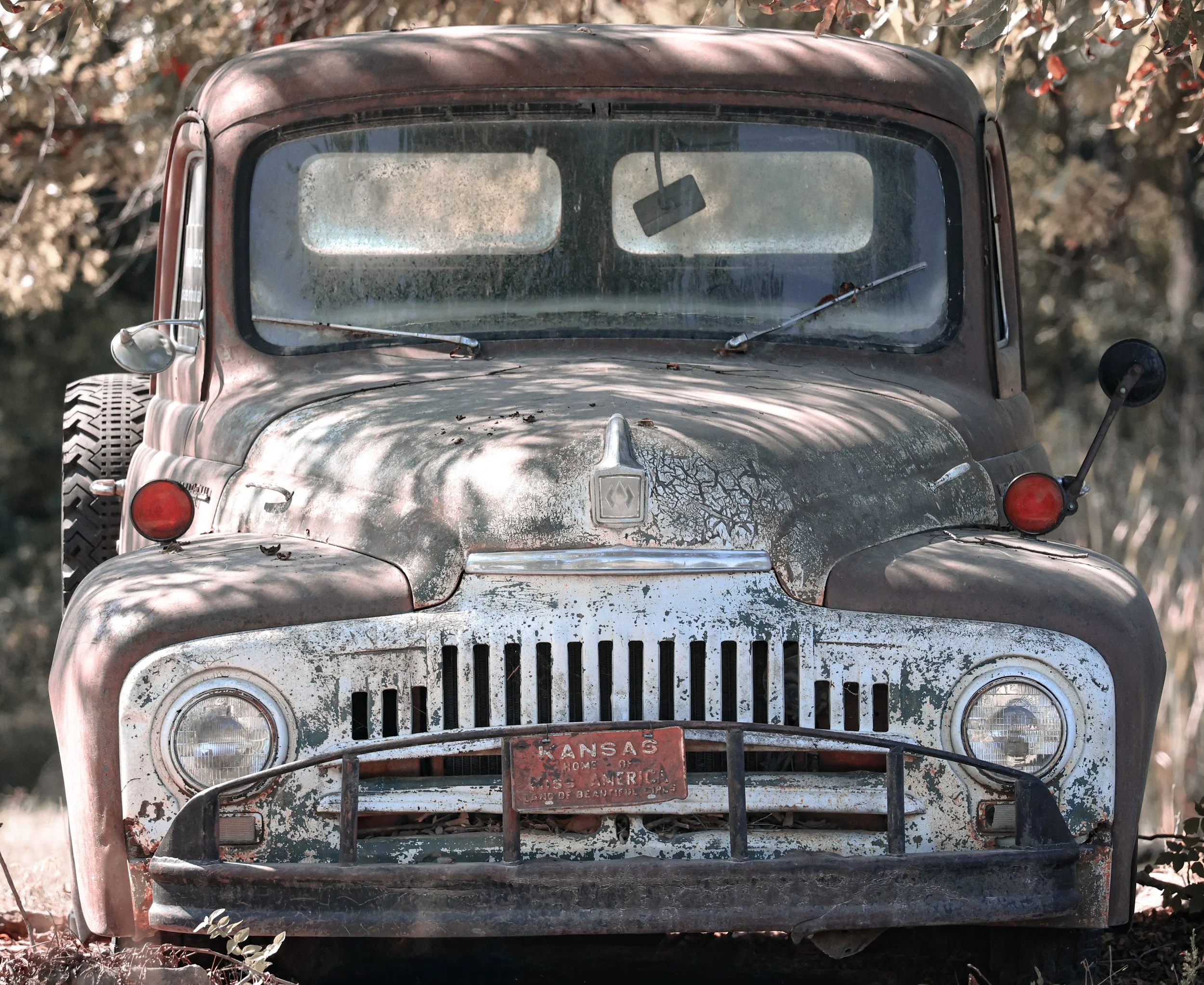 An old workhorse of the land, this truck still wears its years with grit and character.