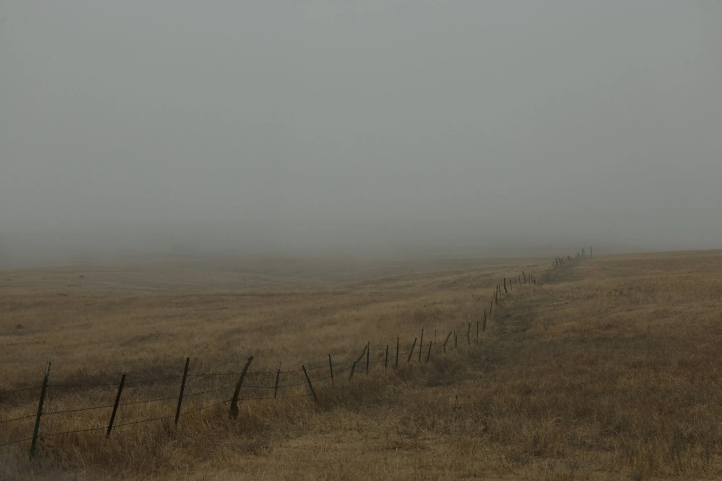 Wrapped in fog, this stretch of prairie feels hushed, open, and almost endless.