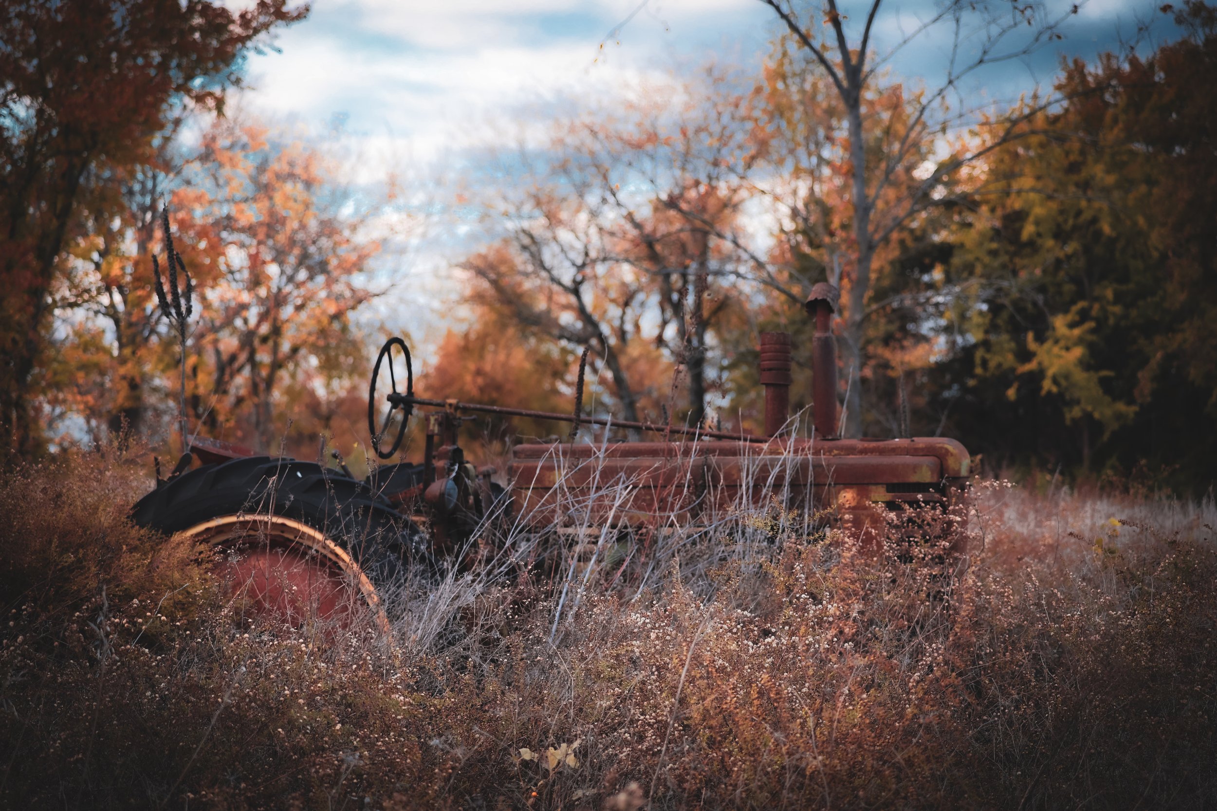 Among the fading grasses and autumn trees, this rusted tractor feels like a quiet remnant of the land’s working past.