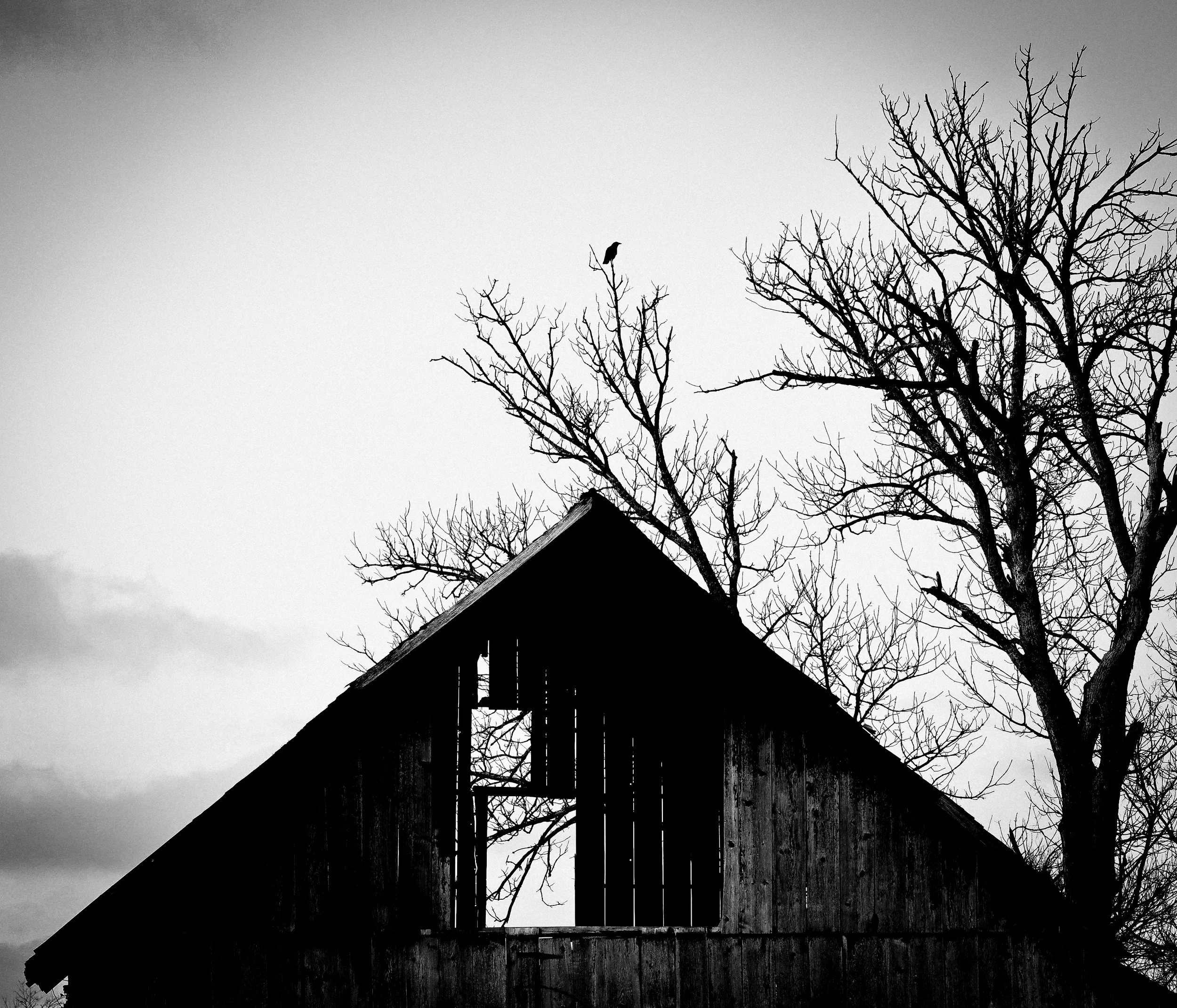 Beneath the bare branches and open sky, this old barn feels like a quiet silhouette of time.
