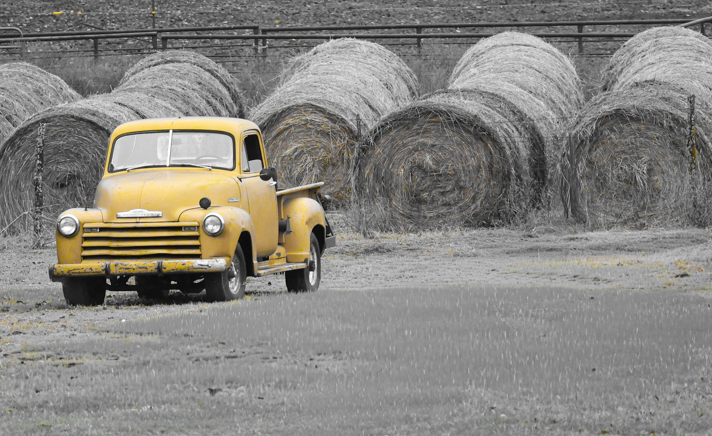 With hay bales behind it and weather in its paint, this old truck still stands out like a farm classic.
