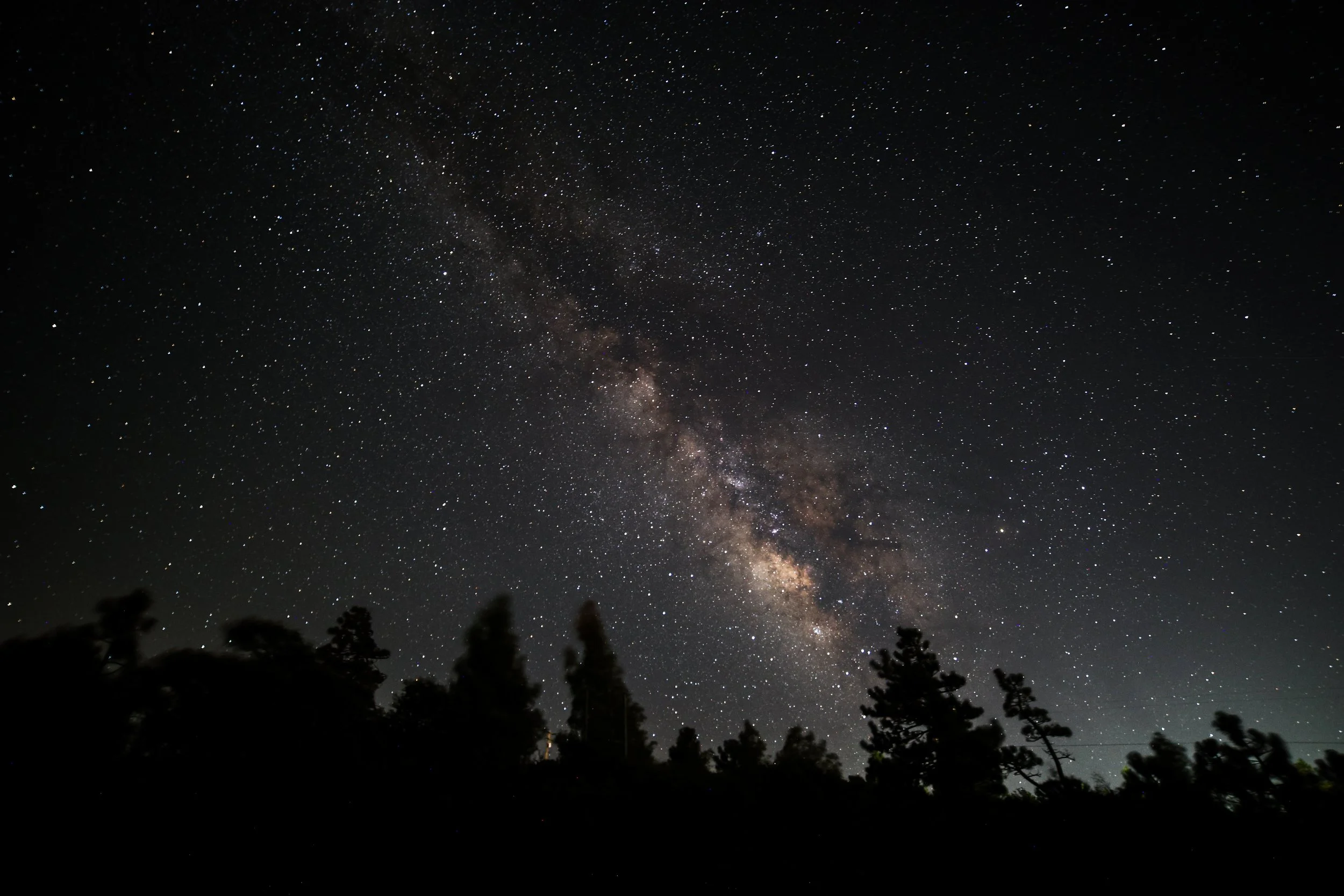 Above the silhouetted trees, the Milky Way spilled across the sky in silence and wonder