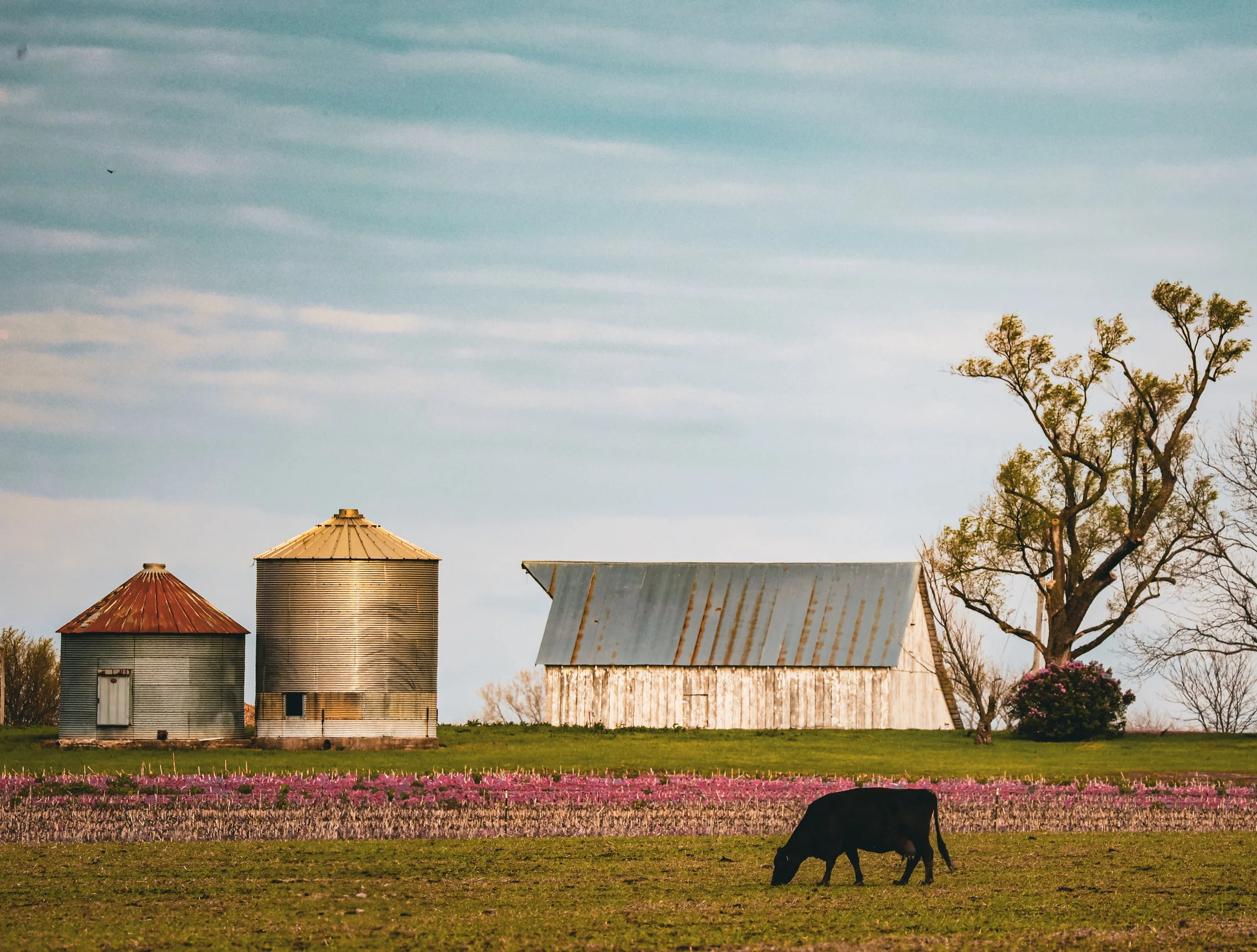 Barn & Farm Sessions