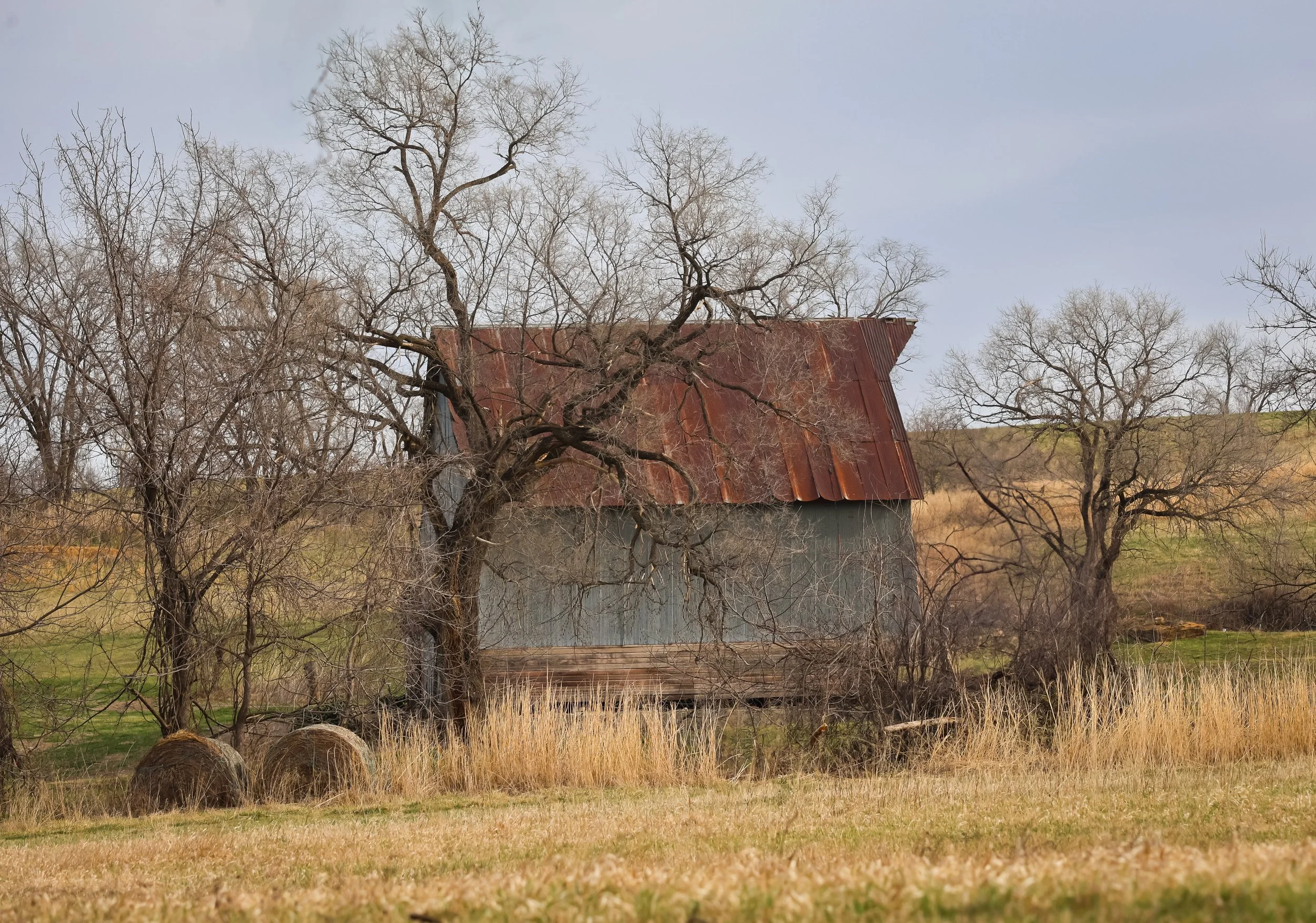 On a crisp, cool day, this old barn felt like a quiet piece of the countryside, weathered and timeless.