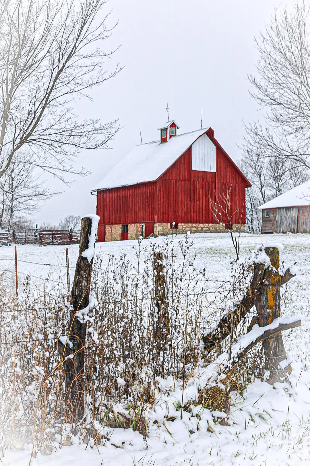 Red Barn in Winter Print
