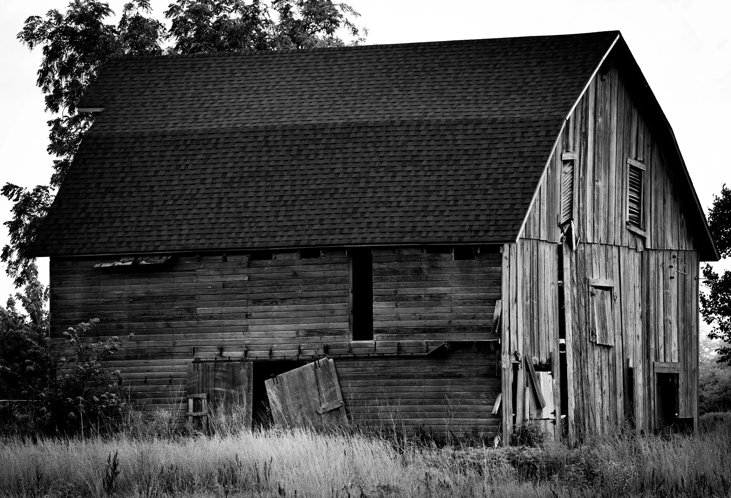 This old barn carries a timeworn beauty, its weathered boards and quiet presence telling of years gone by.
