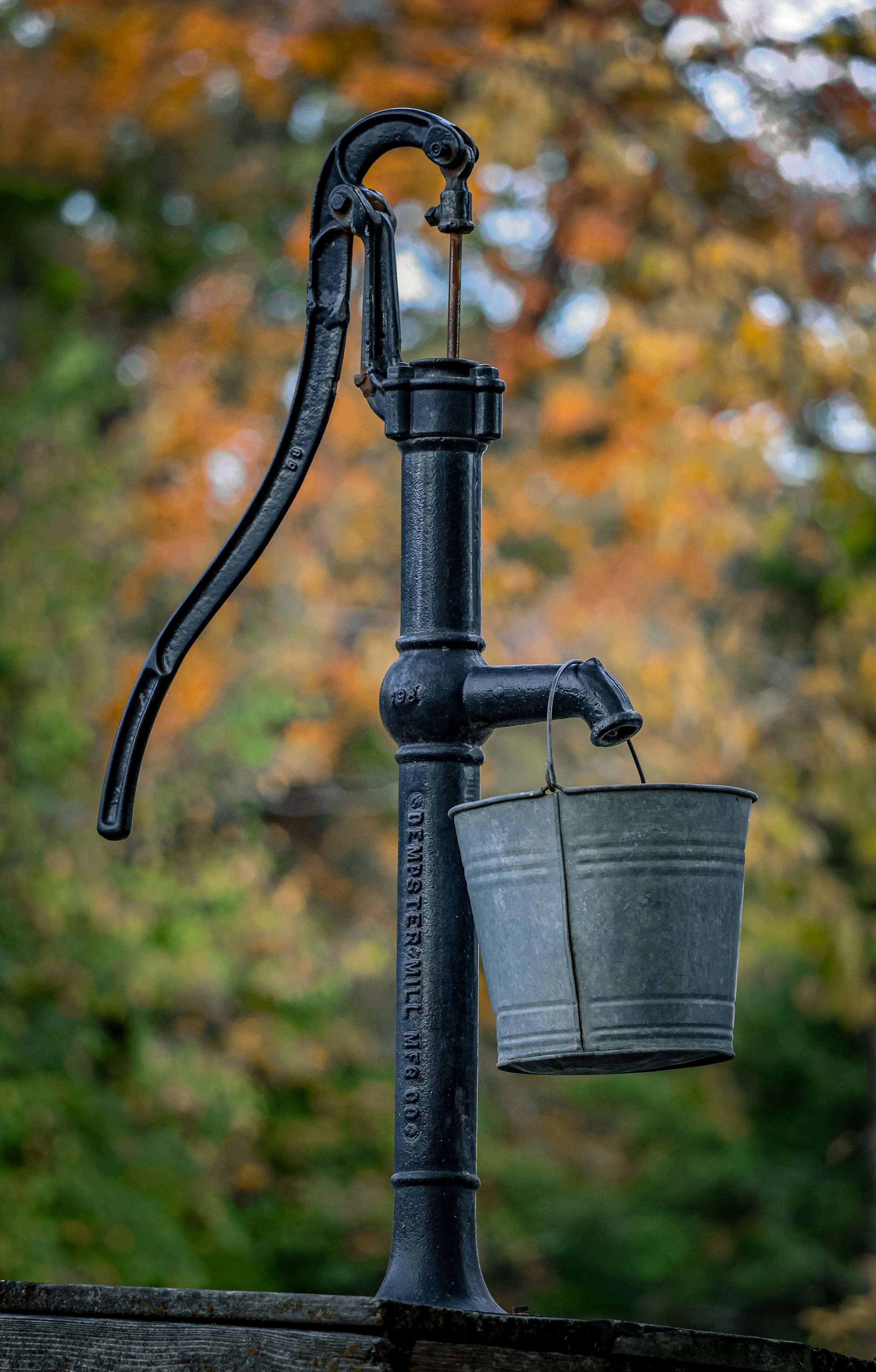 Against the colors of autumn, this hand pump and bucket hold the quiet beauty of old farm life.