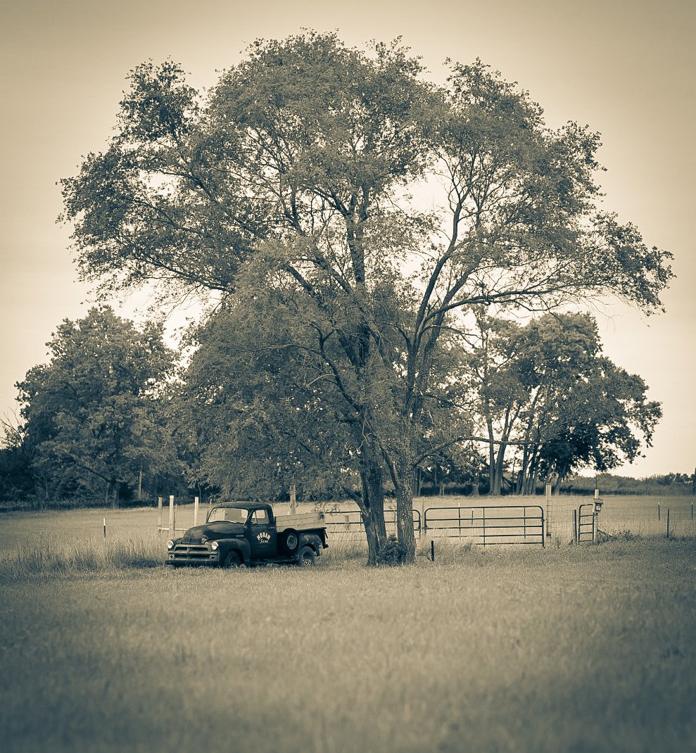 Tucked beneath the tree and surrounded by open field, this old truck carries the stillness and memory of rural life.