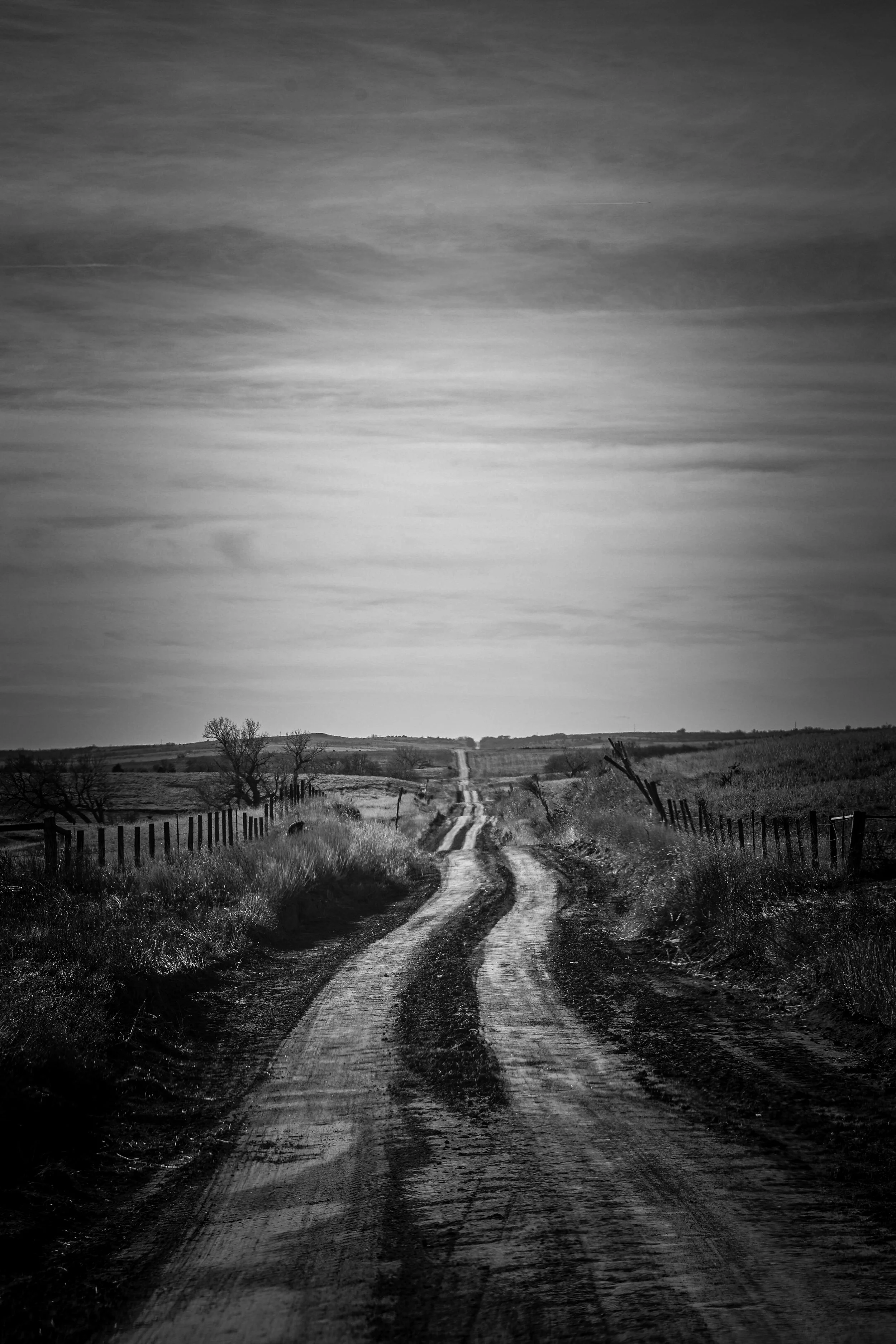 Winding through the open Kansas prairie, this road feels like a quiet path into the heart of the land.