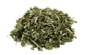 North American Nettle