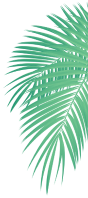 A green palm leaf with detailed textures on a black background.