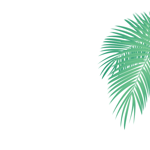 A palm leaf illustration with vibrant green shades against a black background.