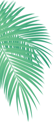 Green palm leaves on a turquoise background
