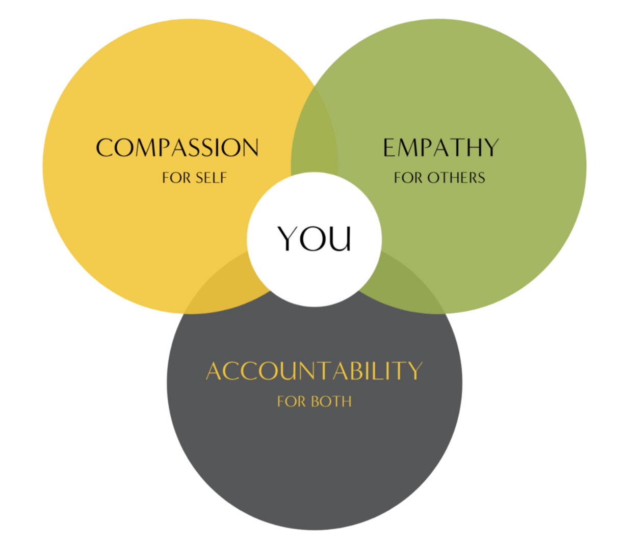 Venn diagram graphic showing "Compassion for self, empathy for others, accountability for both" in three intersecting circles, and a center circle displaying "YOU" in text