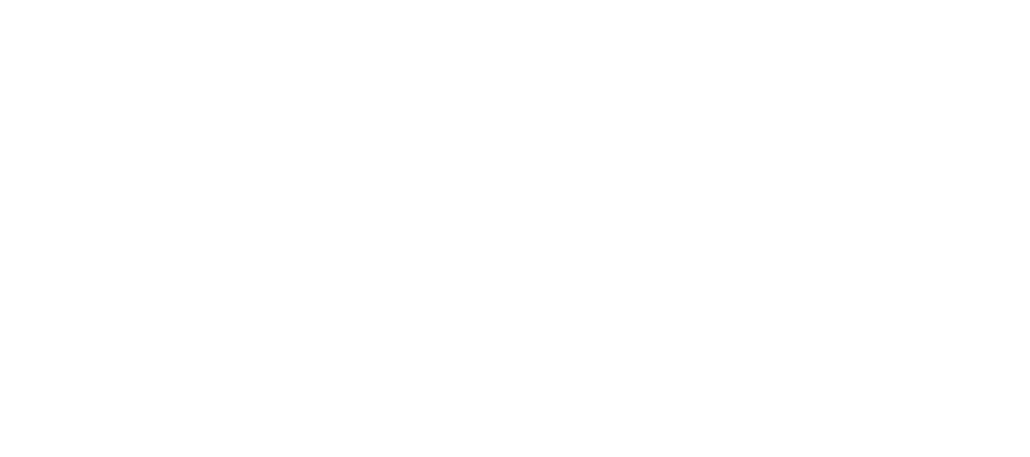 velocity-risk-logo.png