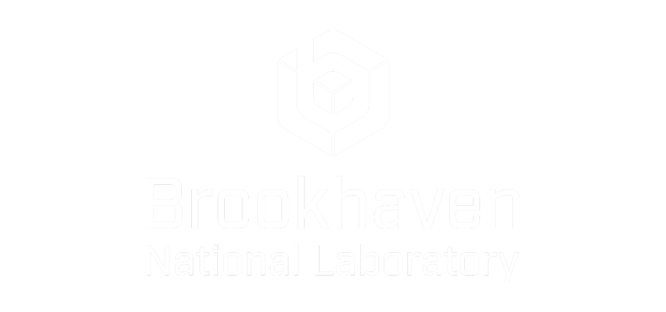 brookhaven-national-laboratory-logo.png