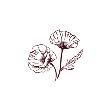 A black background with a red line drawing of two poppy flowers.