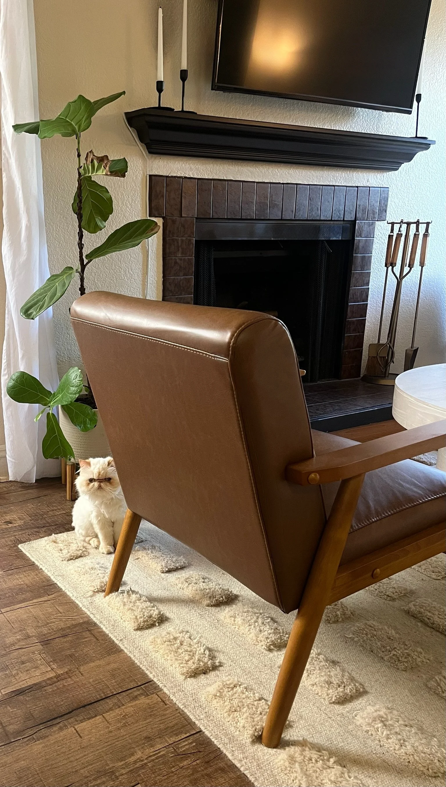 1_Del Mar_Portfolio After.jpg