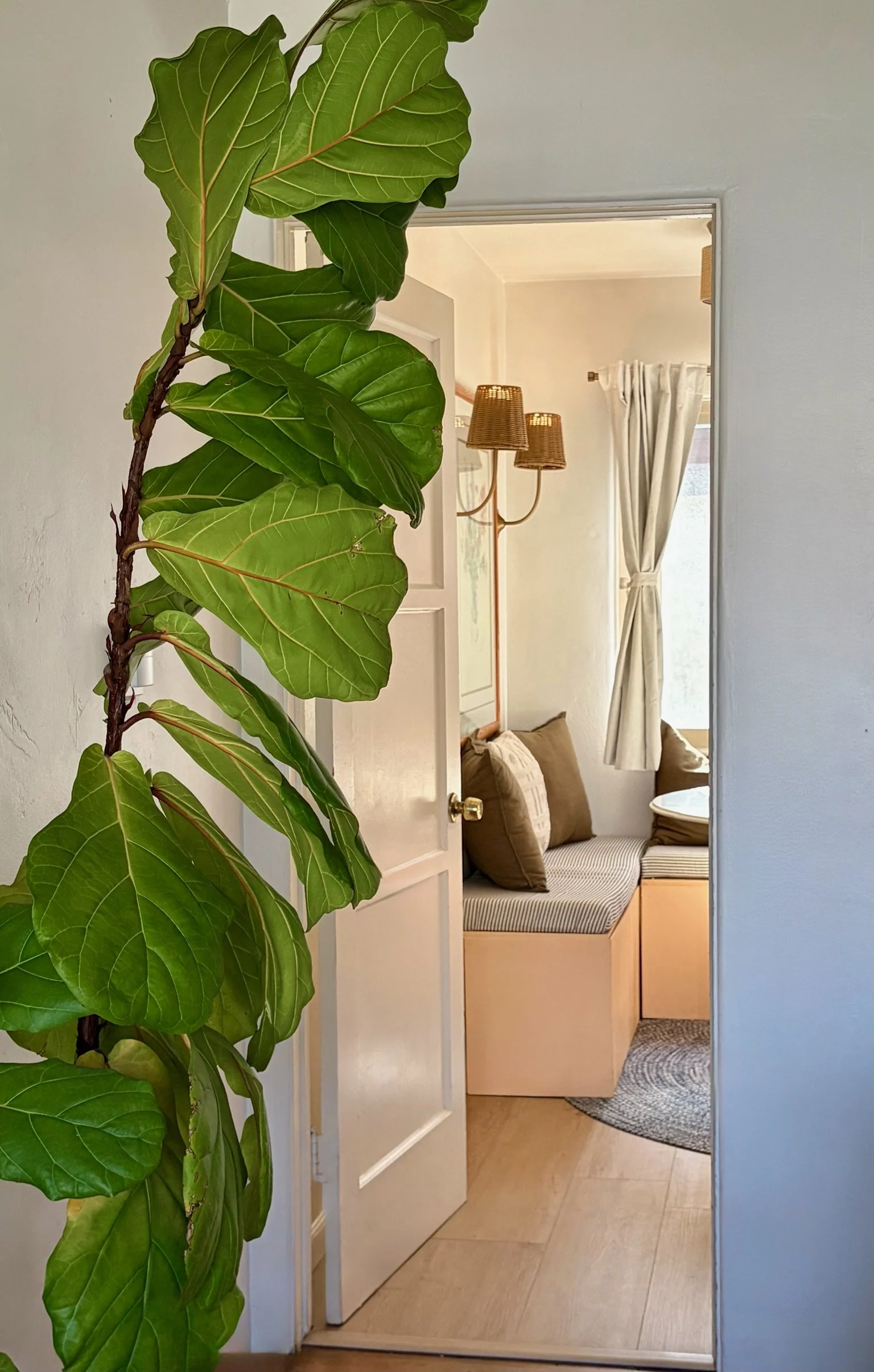 17_Crown Point_Portfolio After.jpg