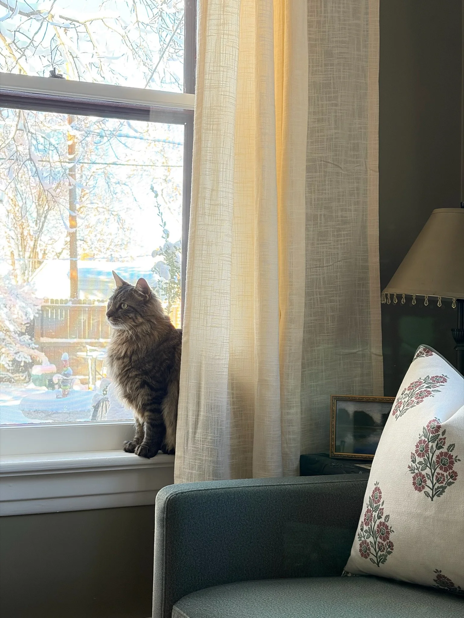 4_Denver_Portfolio After.jpg