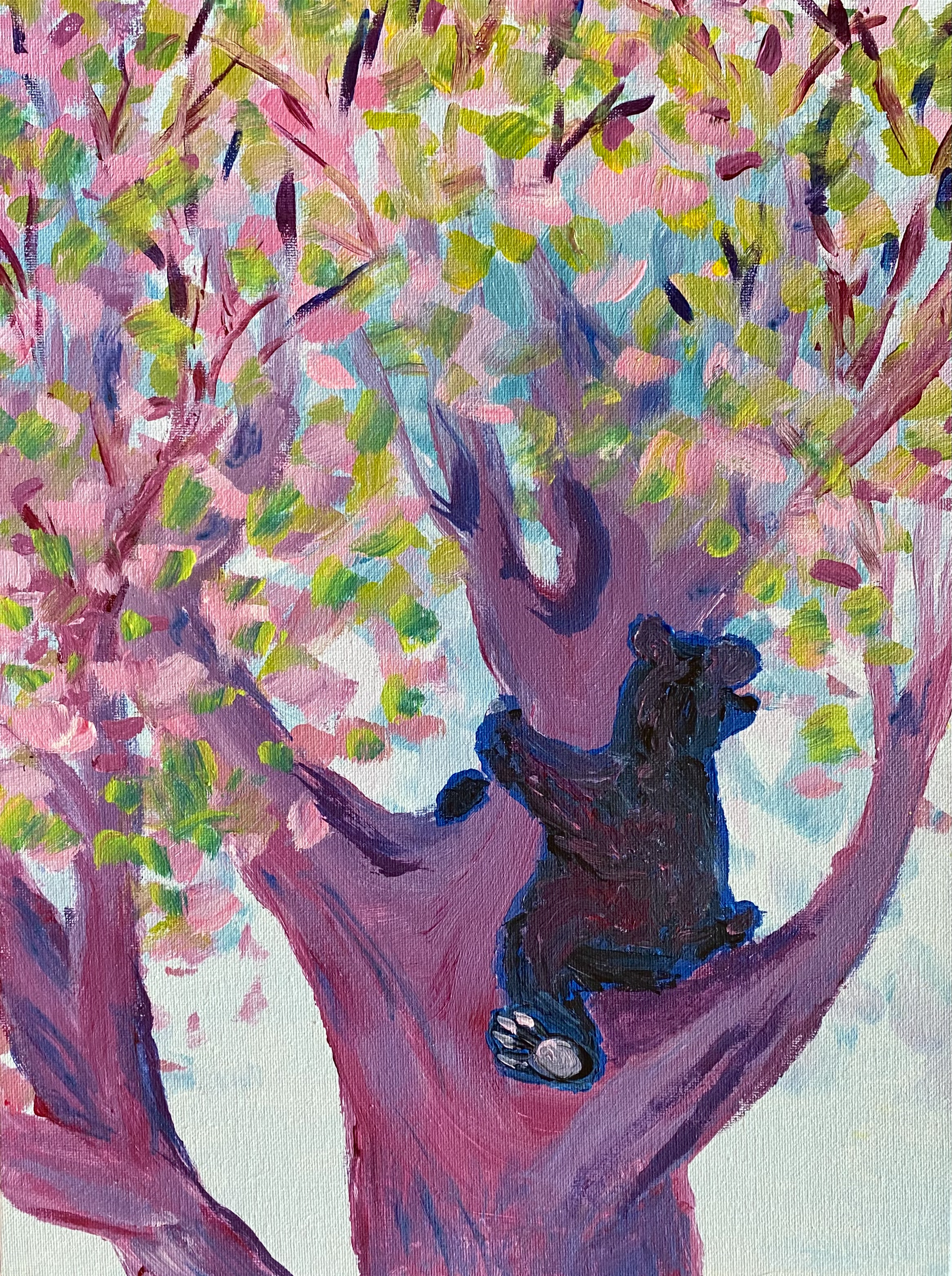 Beary Cherry Tree