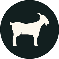 icon with cream colored goat on navy background