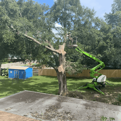 Tree trimming service in DeSoto County MS