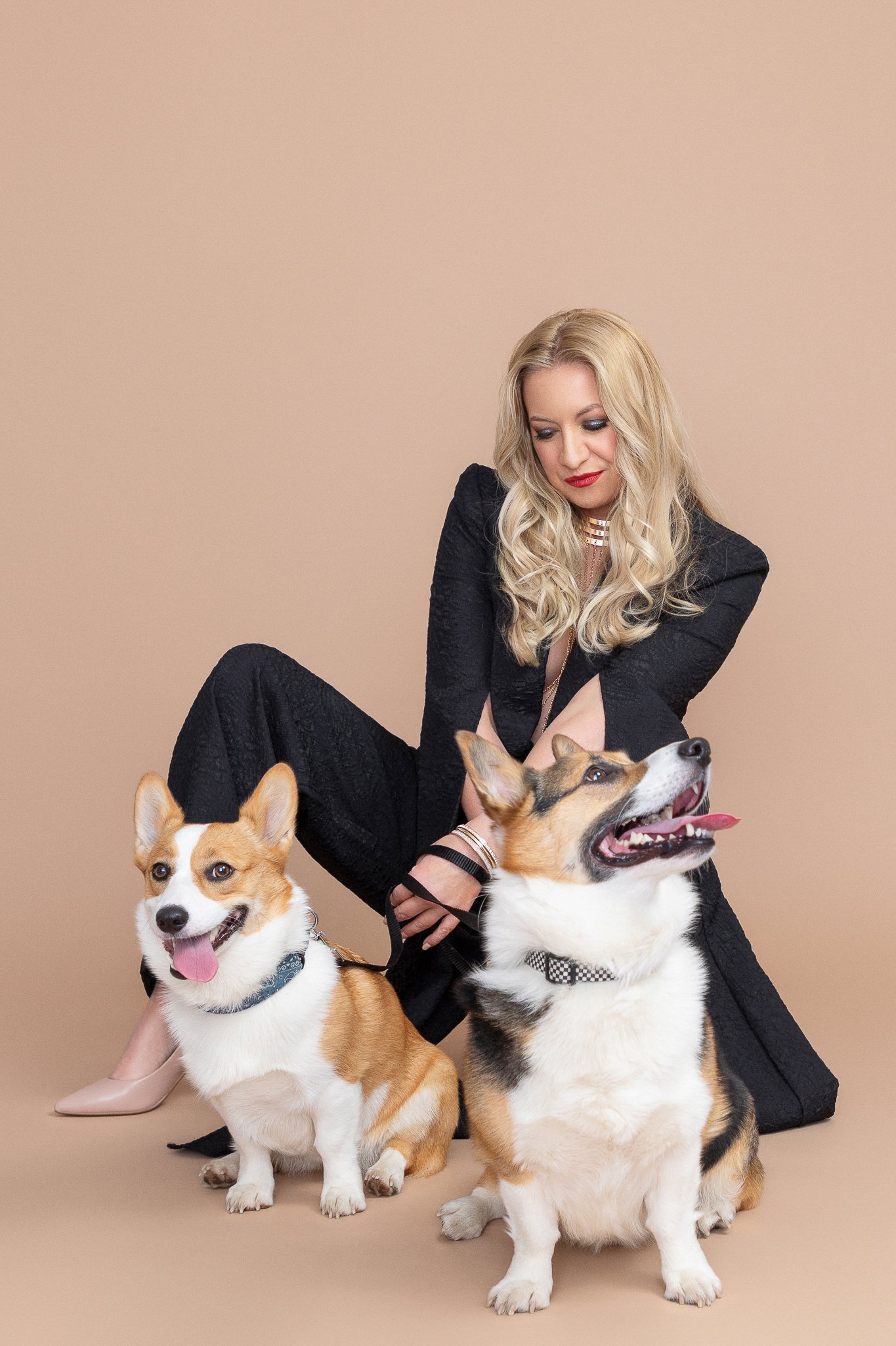 Kim Balevre Corgi Portrait Nashville_1.JPG