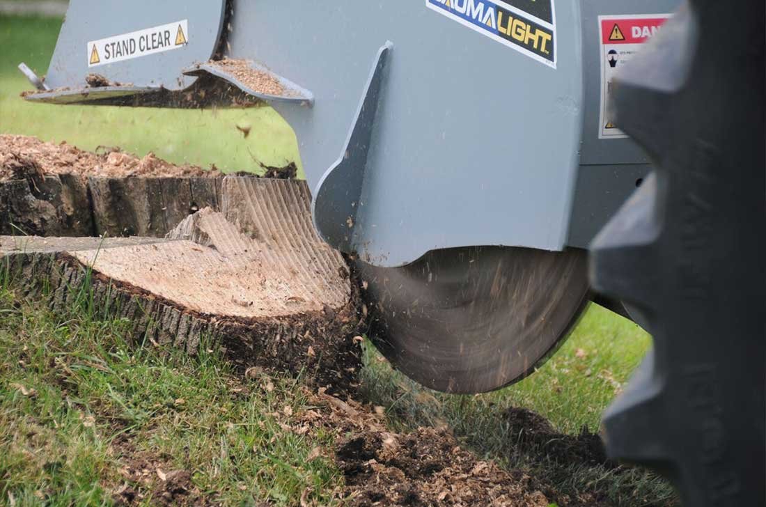 Grinding-stumps-with-stumpgrinder.JPG