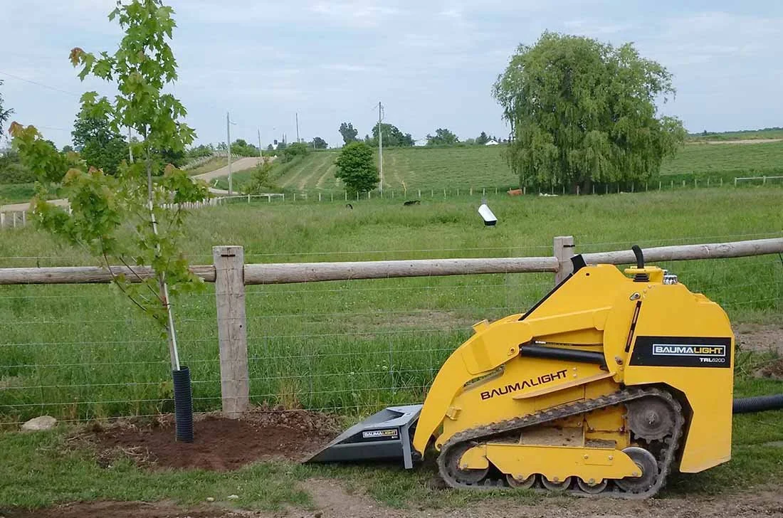 Planing-Tree-With-mini-track-loader.jpg