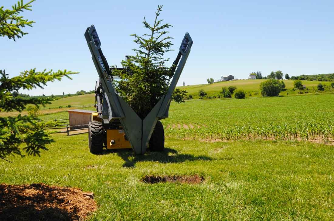 Baumalight-24-inch-spade-moving-tree.jpg