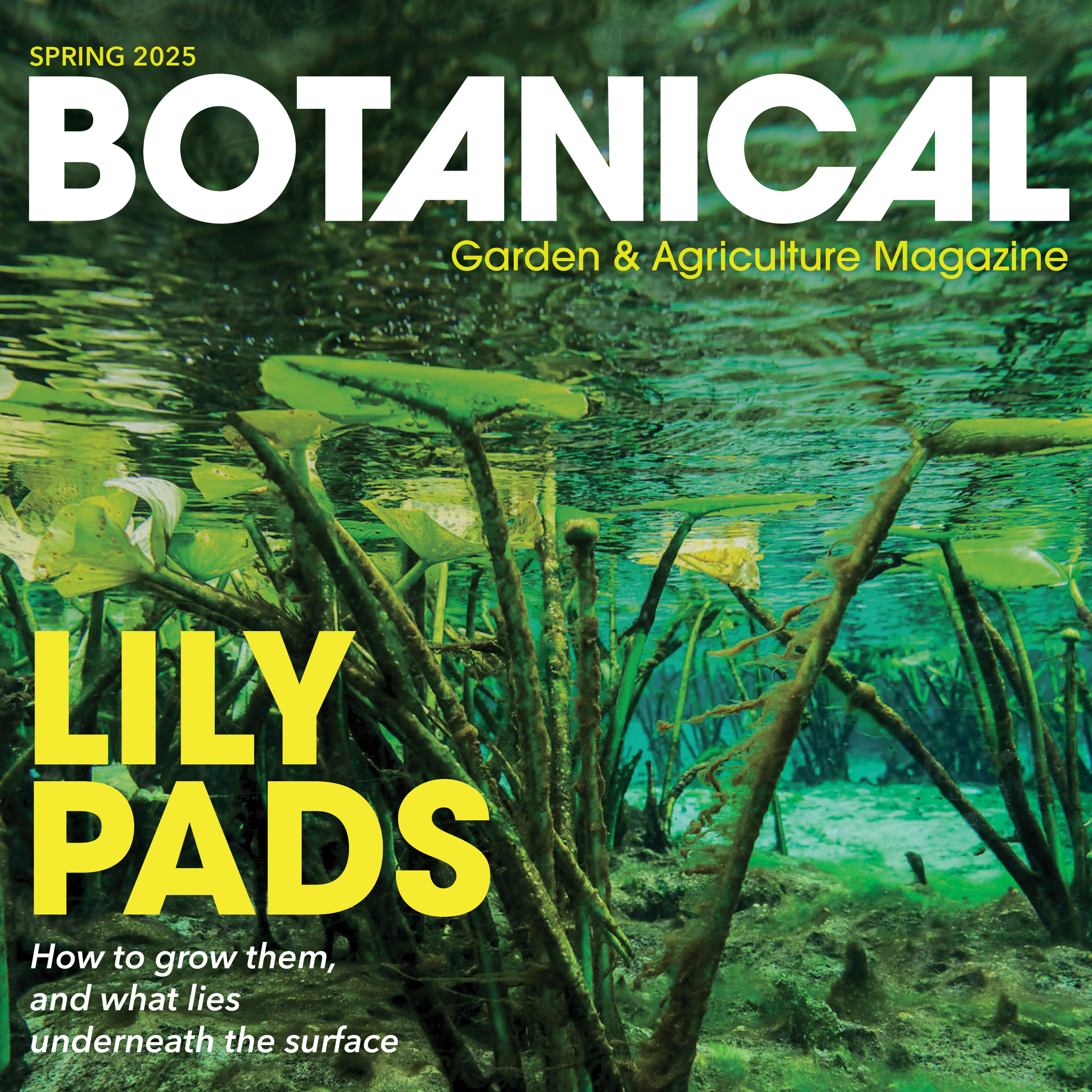 Botanical Publication Design