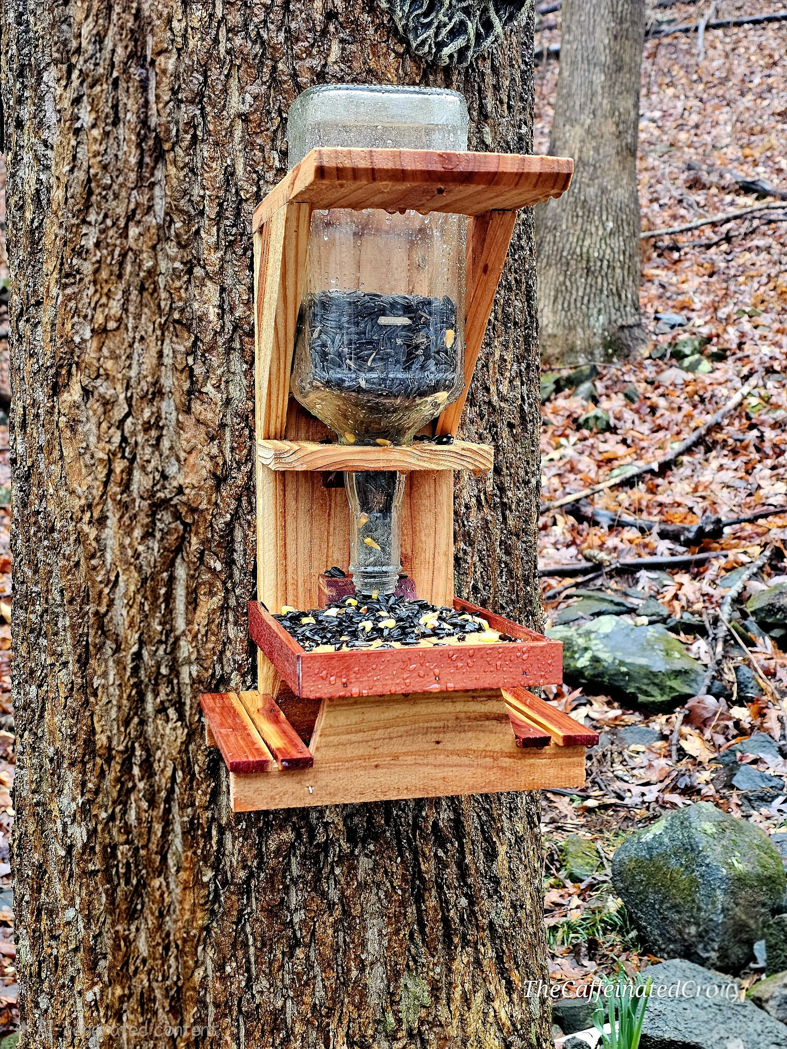 Large Glass Bottle Bird Feeder