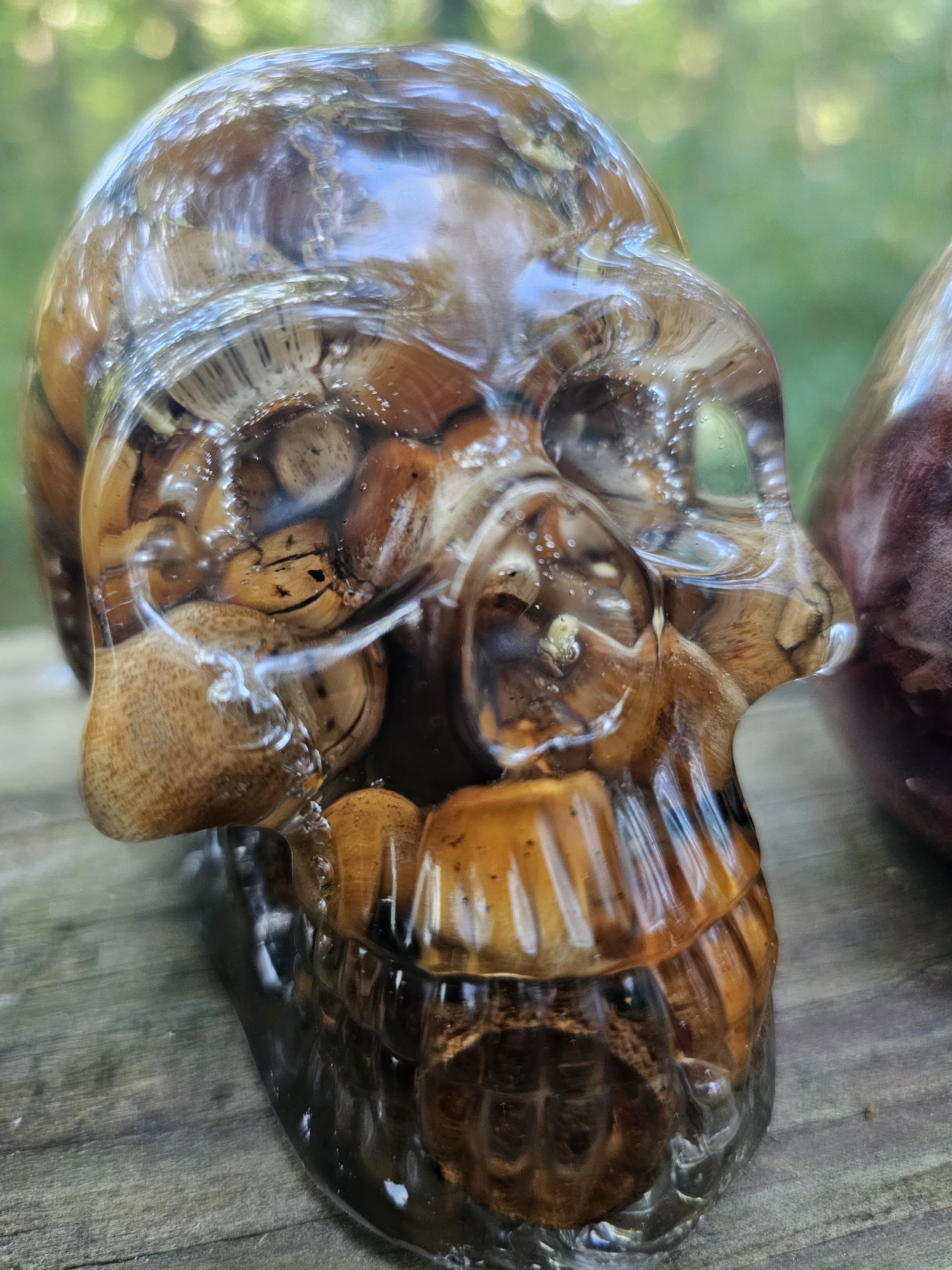 Acorn Skull