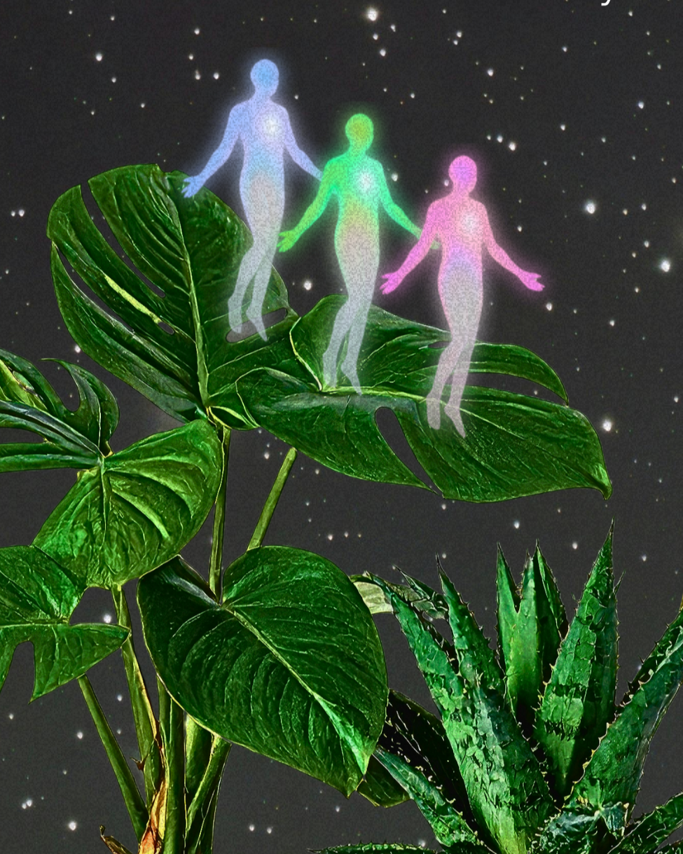 How Limiting Beliefs Are Born