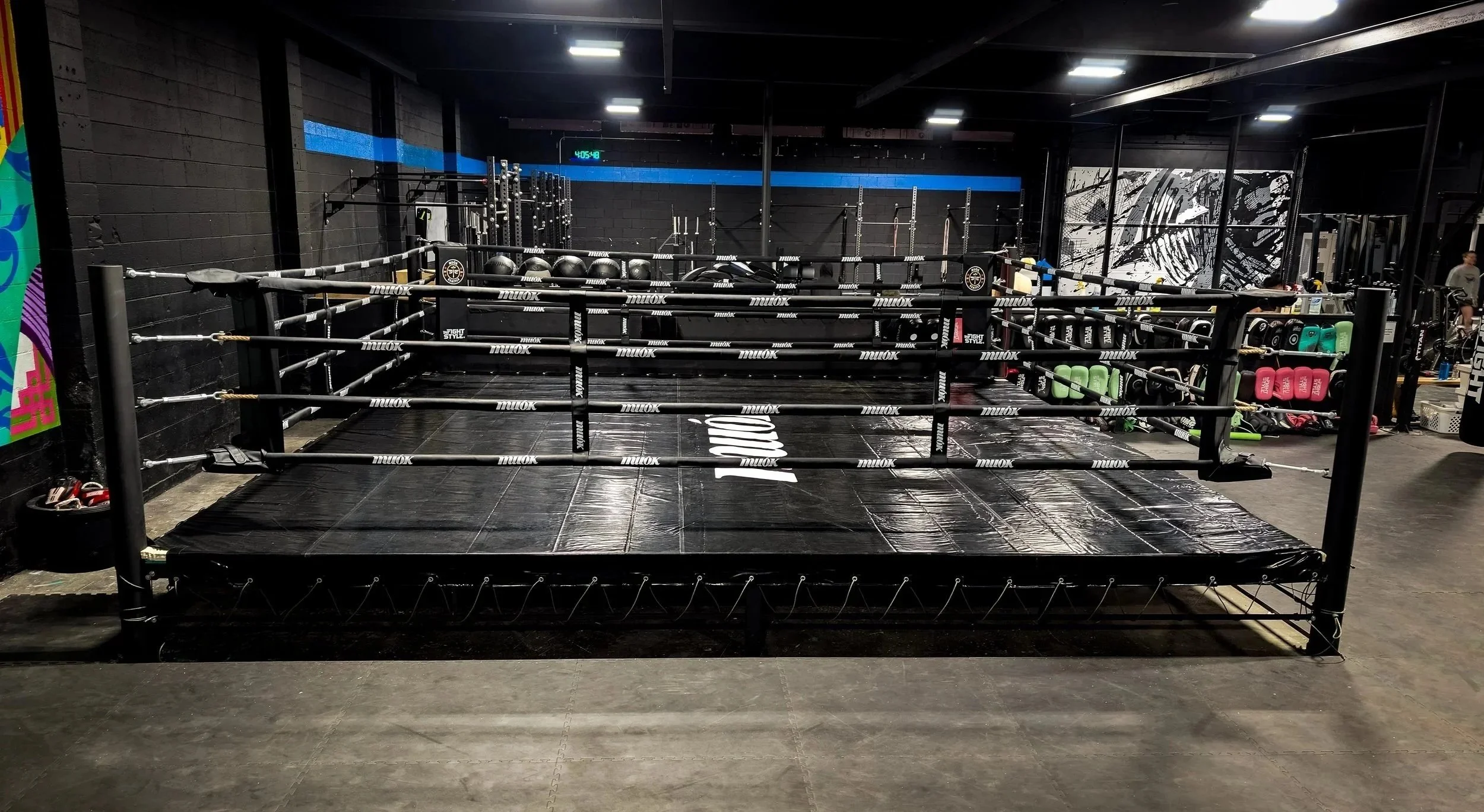 Custom made boxing ring.