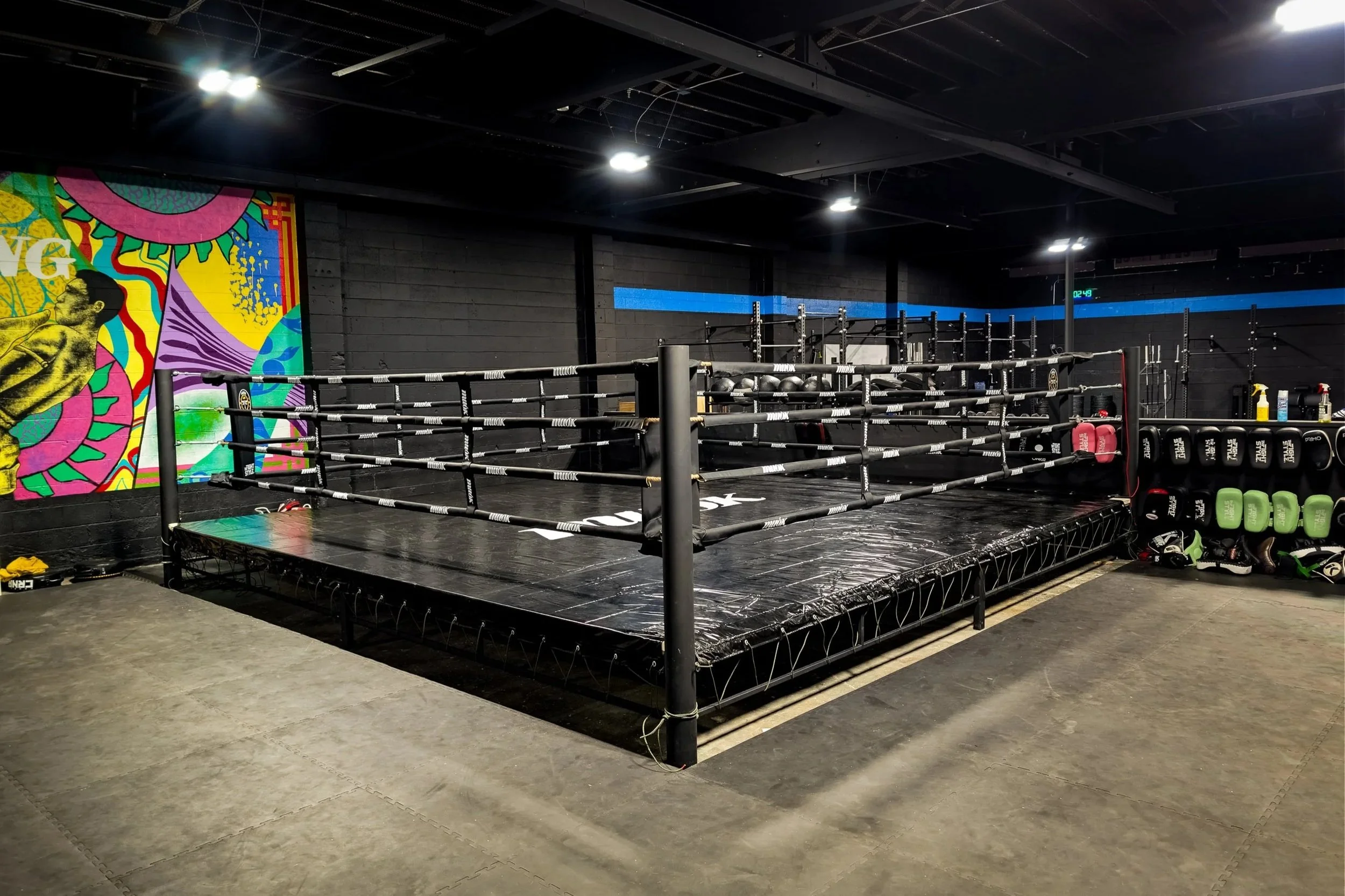 Custom made boxing ring.