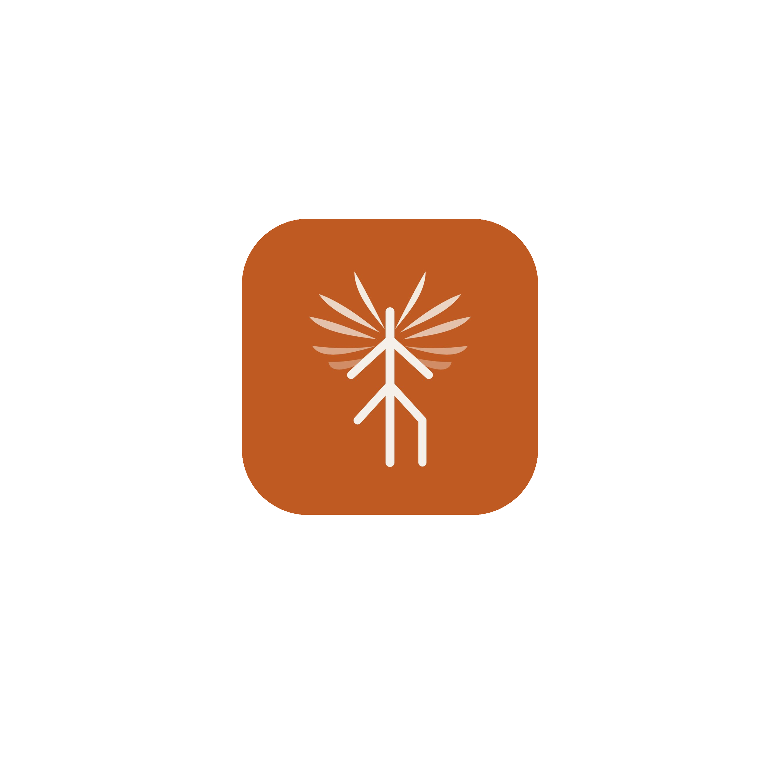splash-2732x2732.png